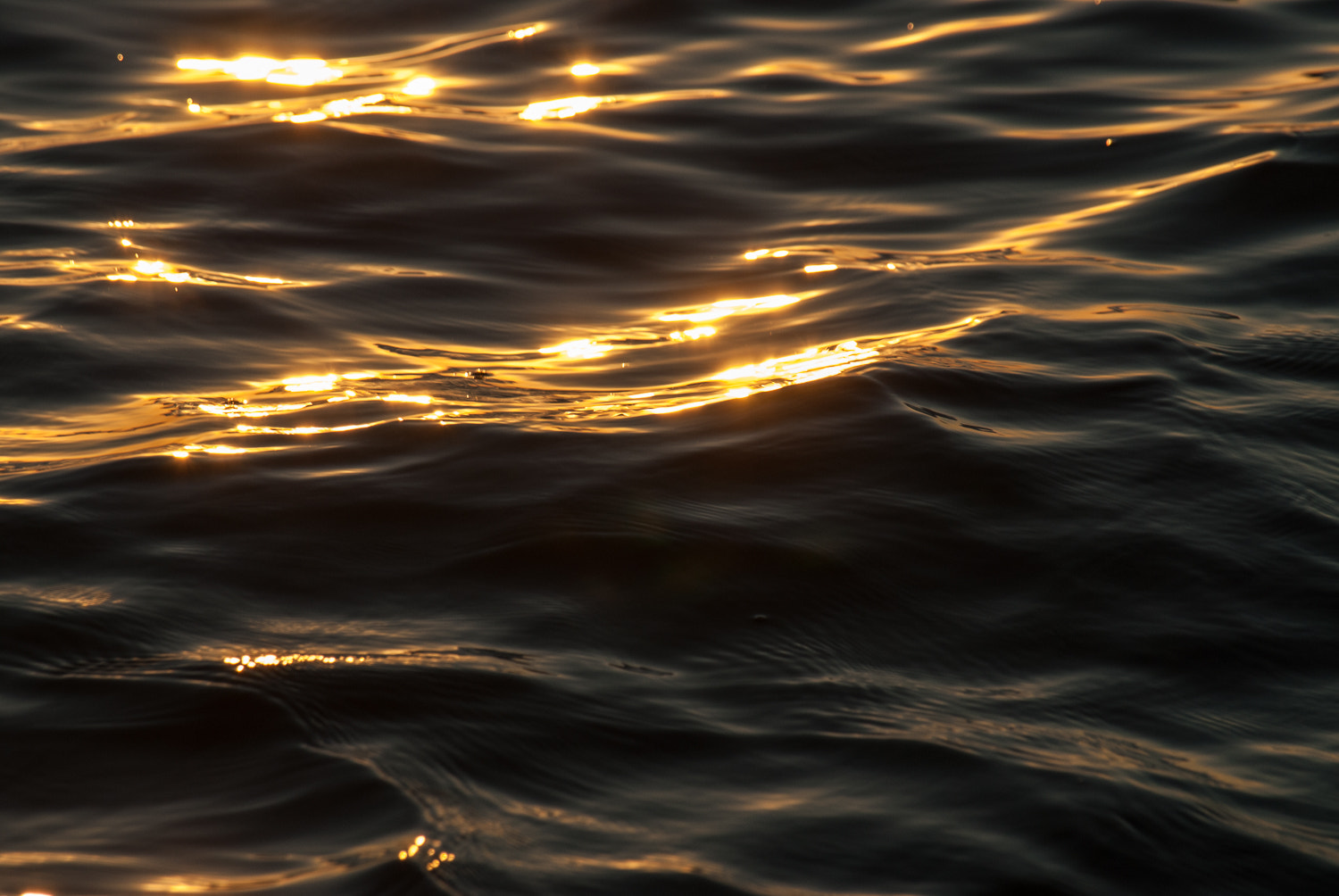 Nikon D200 sample photo. Water and light photography