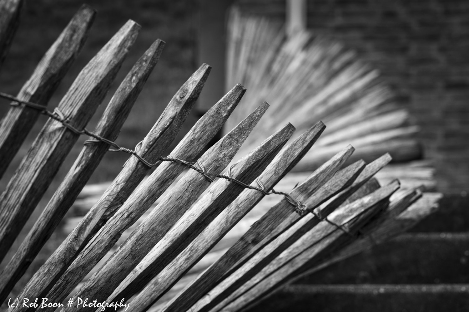 Canon EF 100mm F2.8L Macro IS USM sample photo. Happy fence saterday photography