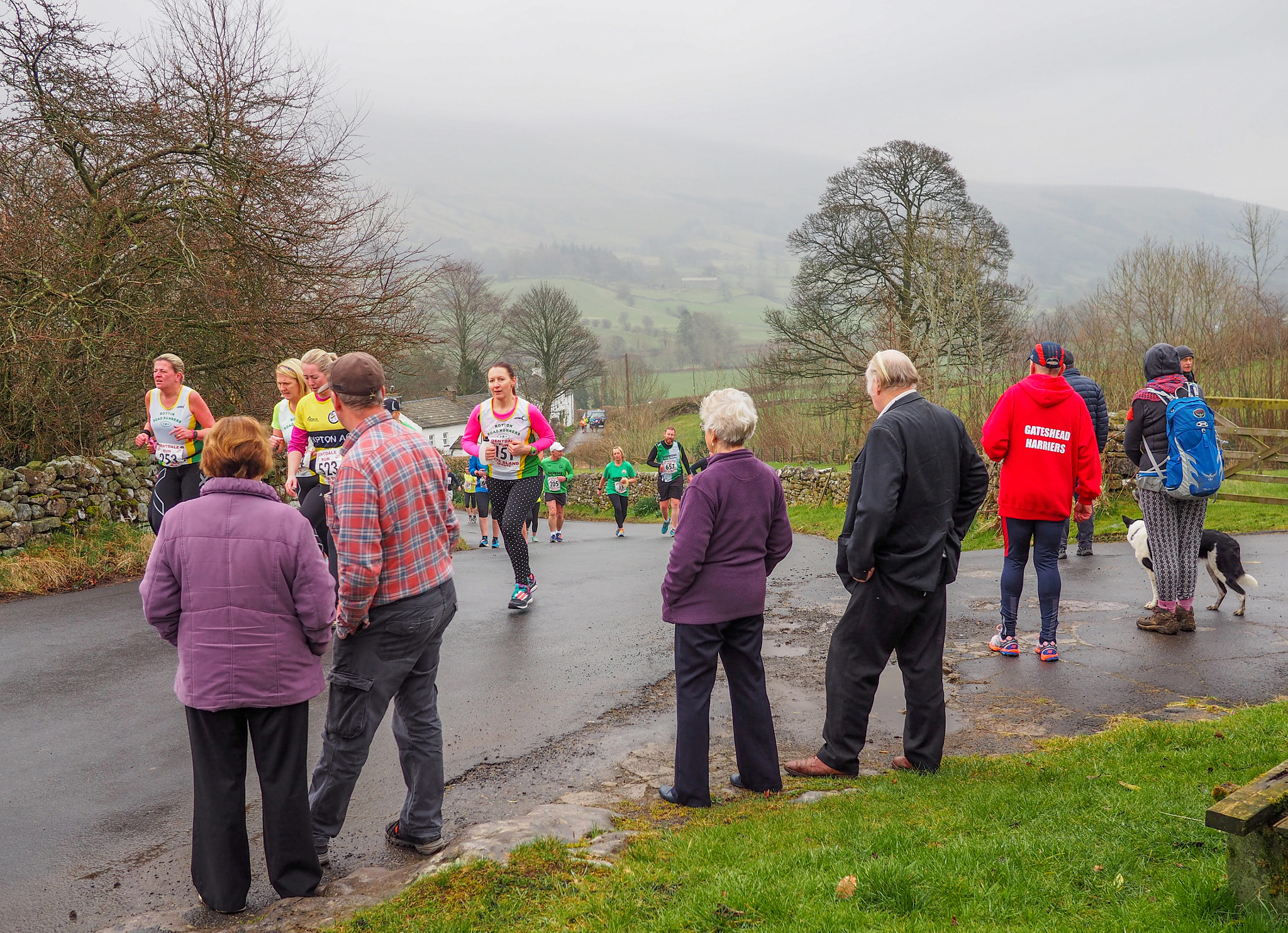 Olympus OM-D E-M10 + Panasonic Lumix G 20mm F1.7 ASPH sample photo. Dentdale run photography