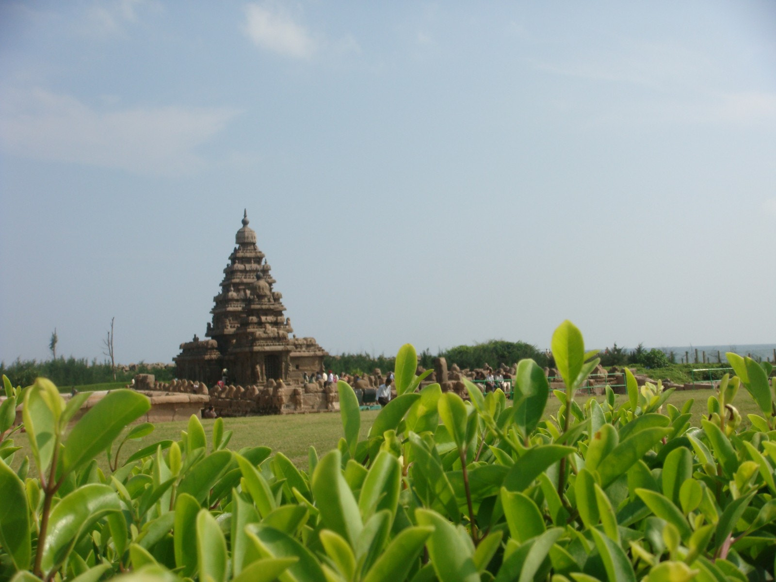 Sony DSC-T300 sample photo. Mahabalipuram  photography