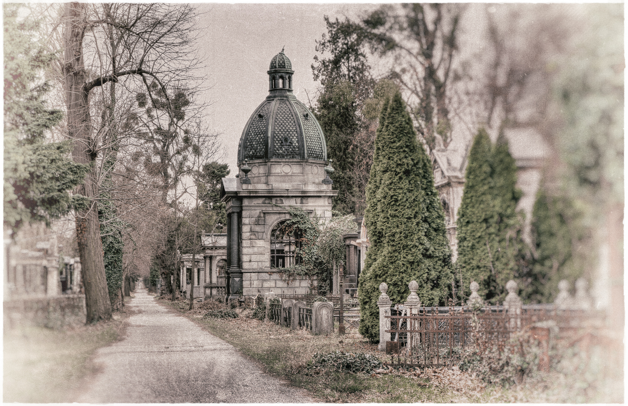 Canon EOS 550D (EOS Rebel T2i / EOS Kiss X4) sample photo. Zentralfriedhof wien 2 photography