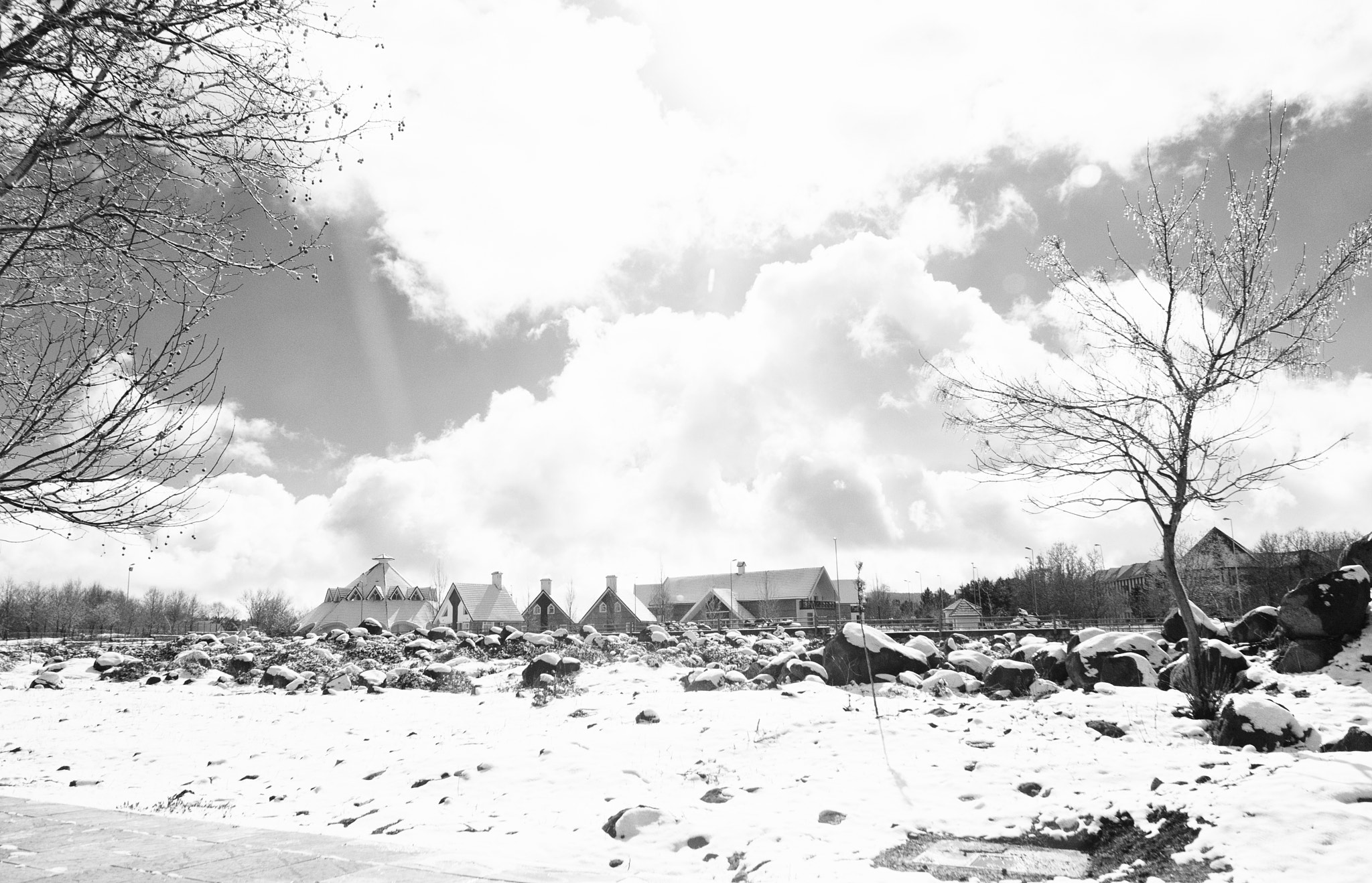 Nikon D700 + Sigma 24mm F1.8 EX DG Aspherical Macro sample photo. Ifrane photography