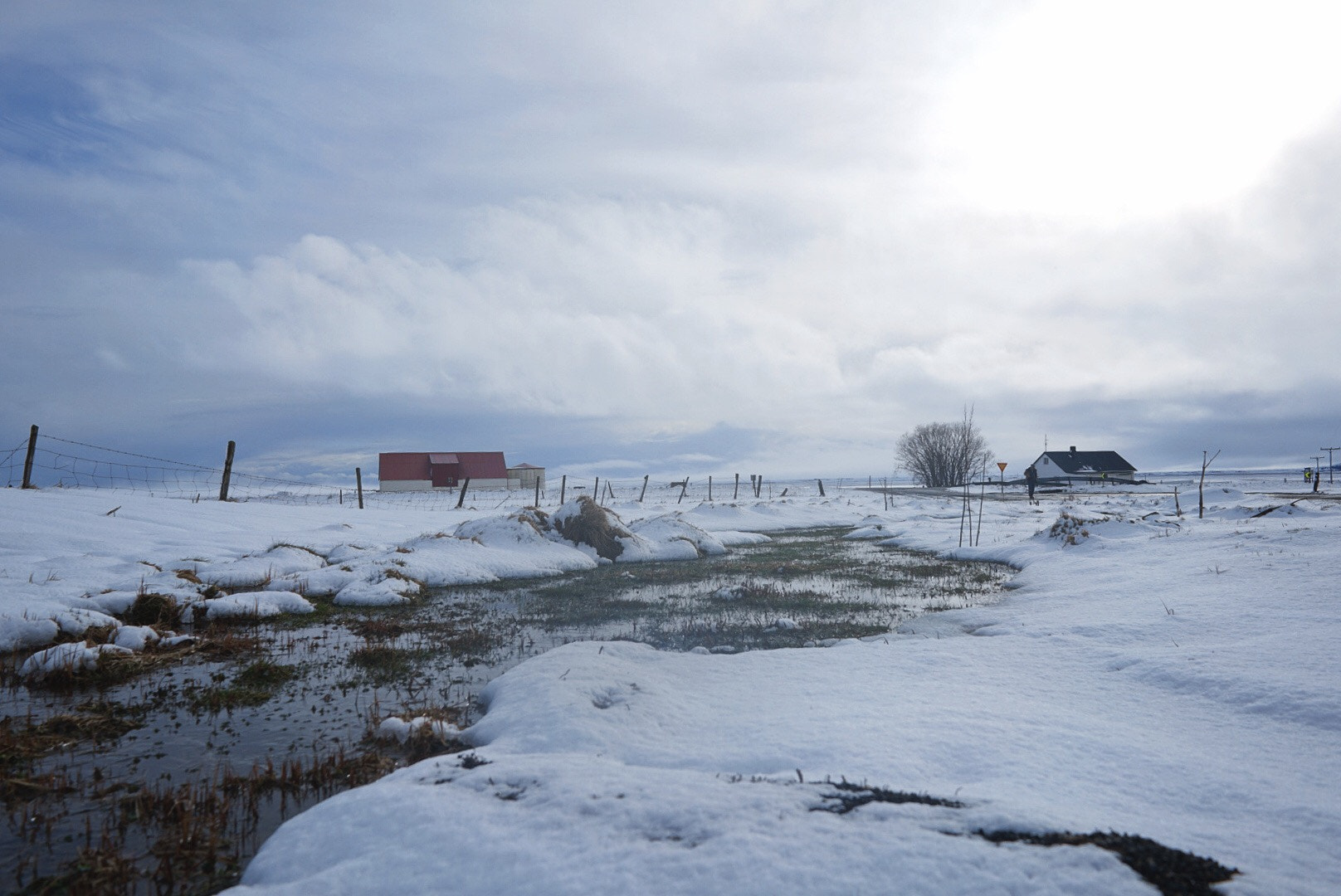 Sony FE 28mm F2 sample photo. ❄️ photography