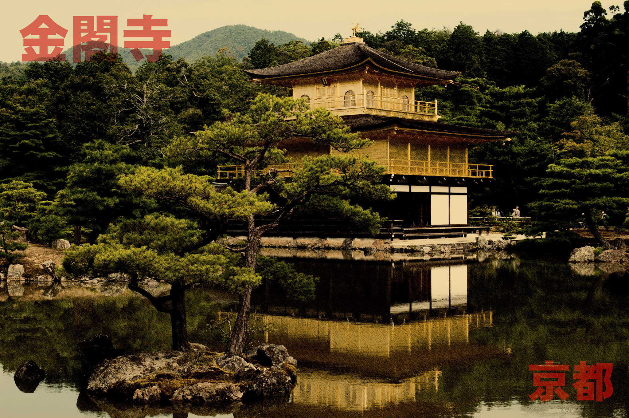 Nikon D300S sample photo