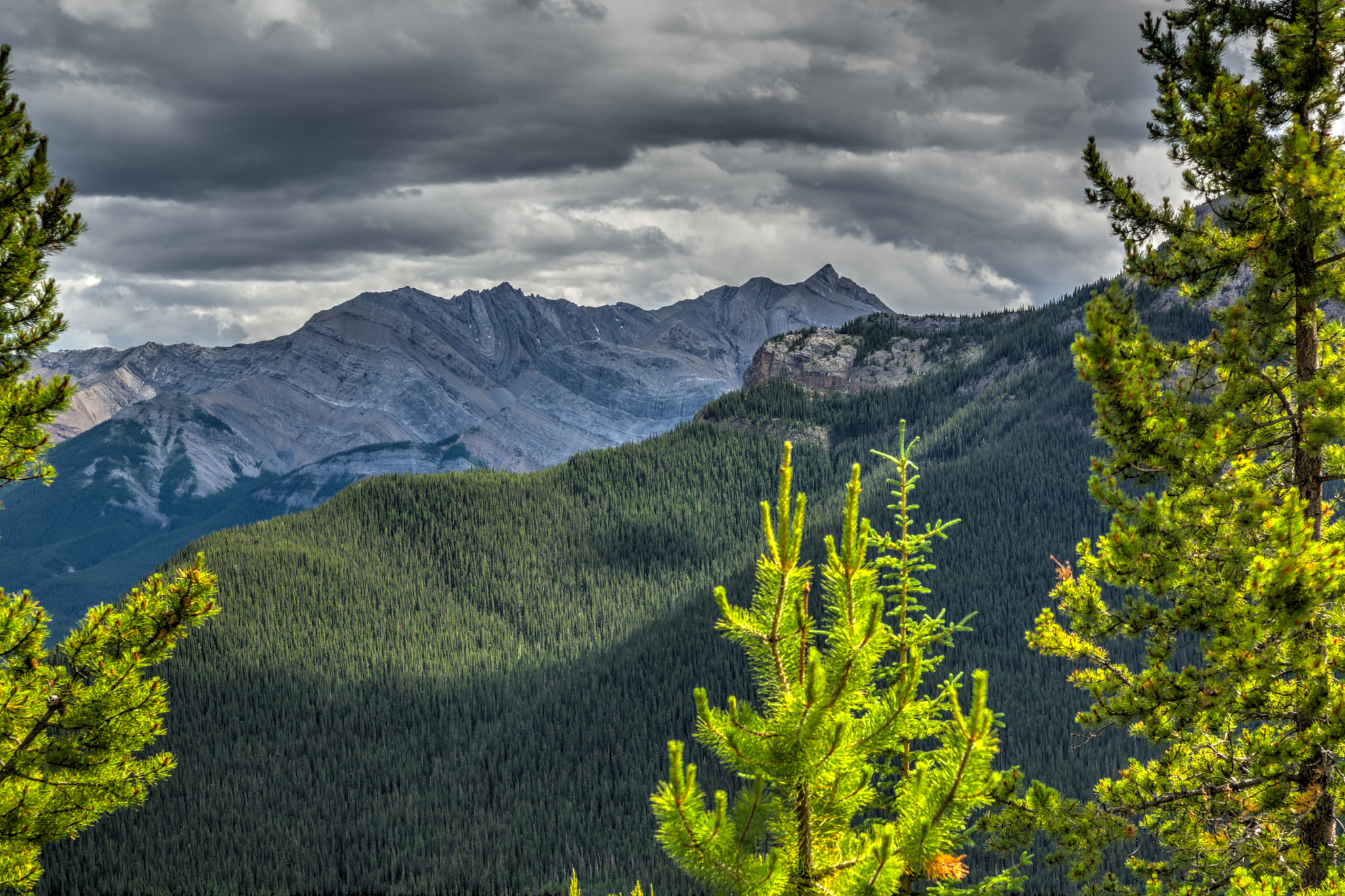 Sony SLT-A77 sample photo. Through the trees - landslide lake photography