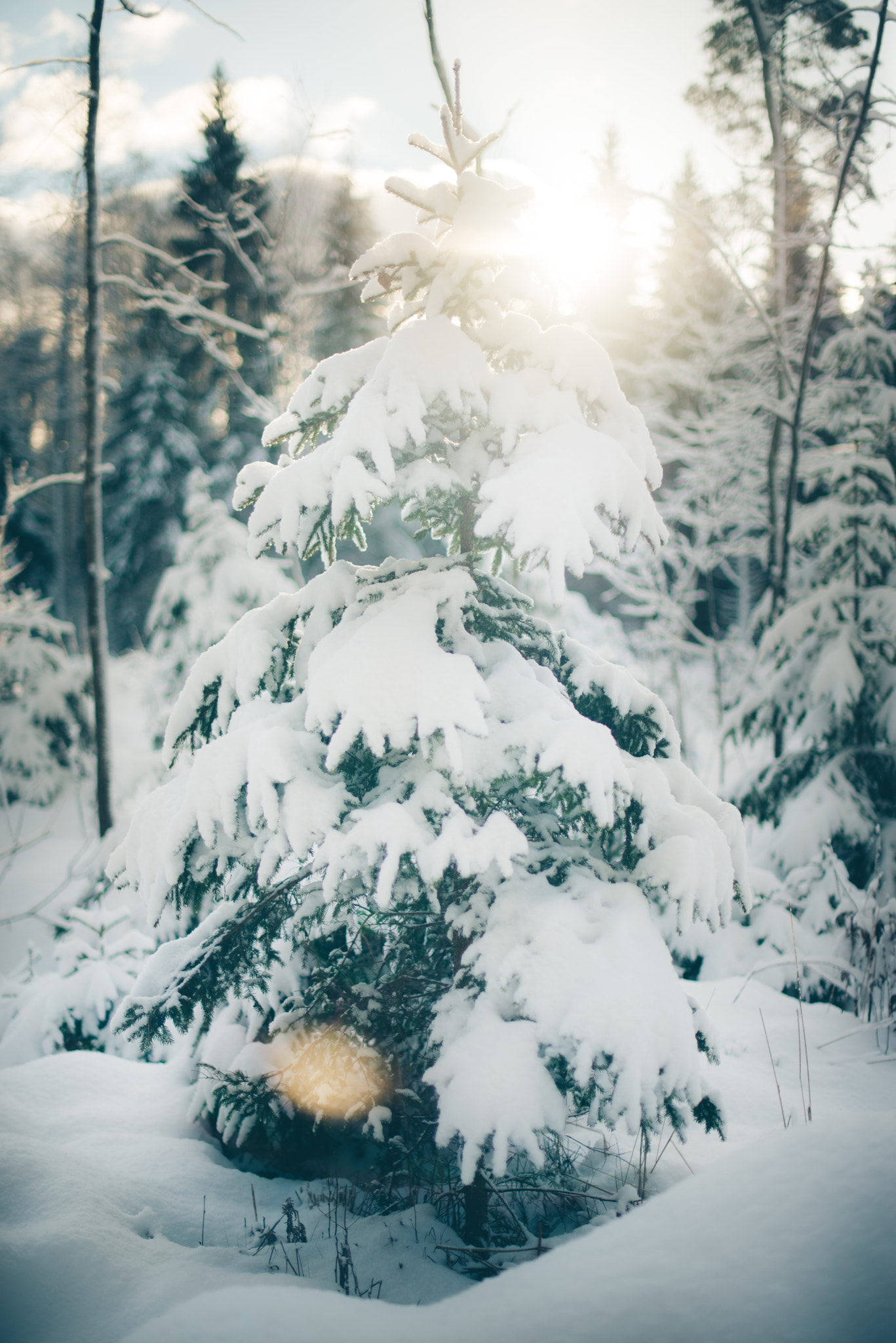 Nikon D610 + Nikon AF-S Nikkor 50mm F1.4G sample photo. Winter day in latvia photography