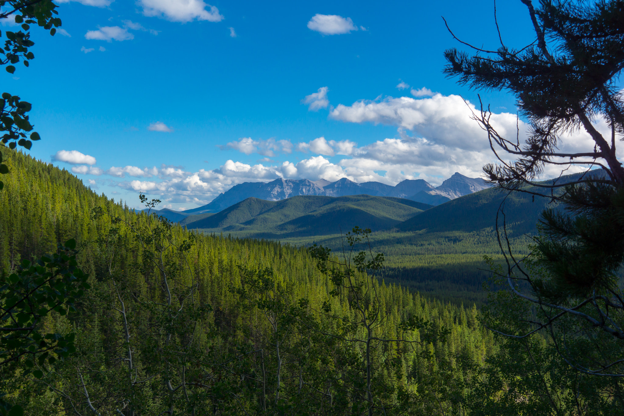 Sony SLT-A77 sample photo. Kananaskis valley photography