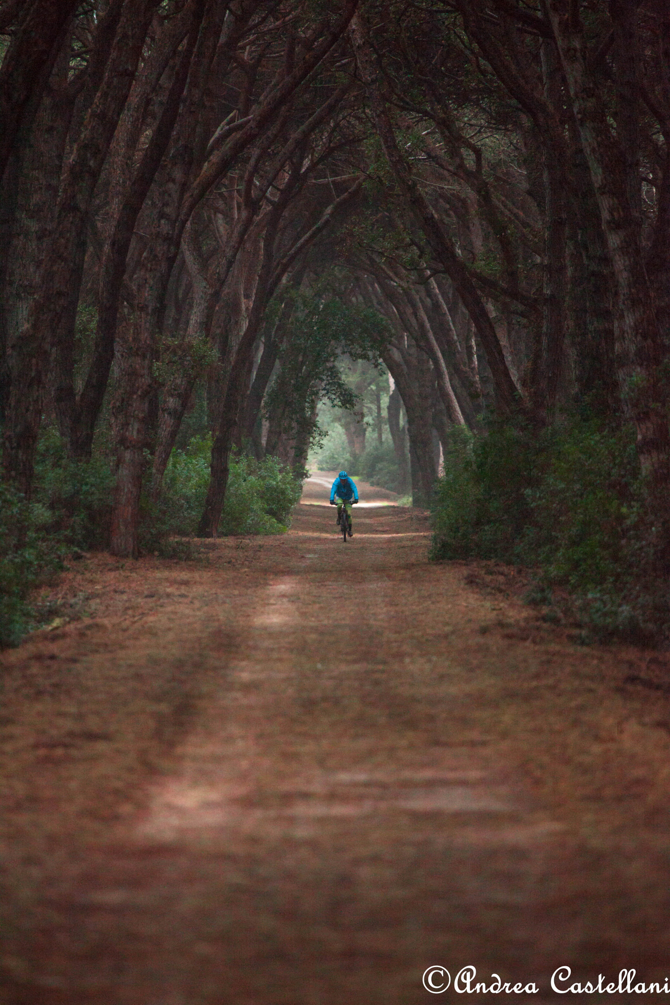 Canon EOS 5D Mark II sample photo. Cycling in the rain photography