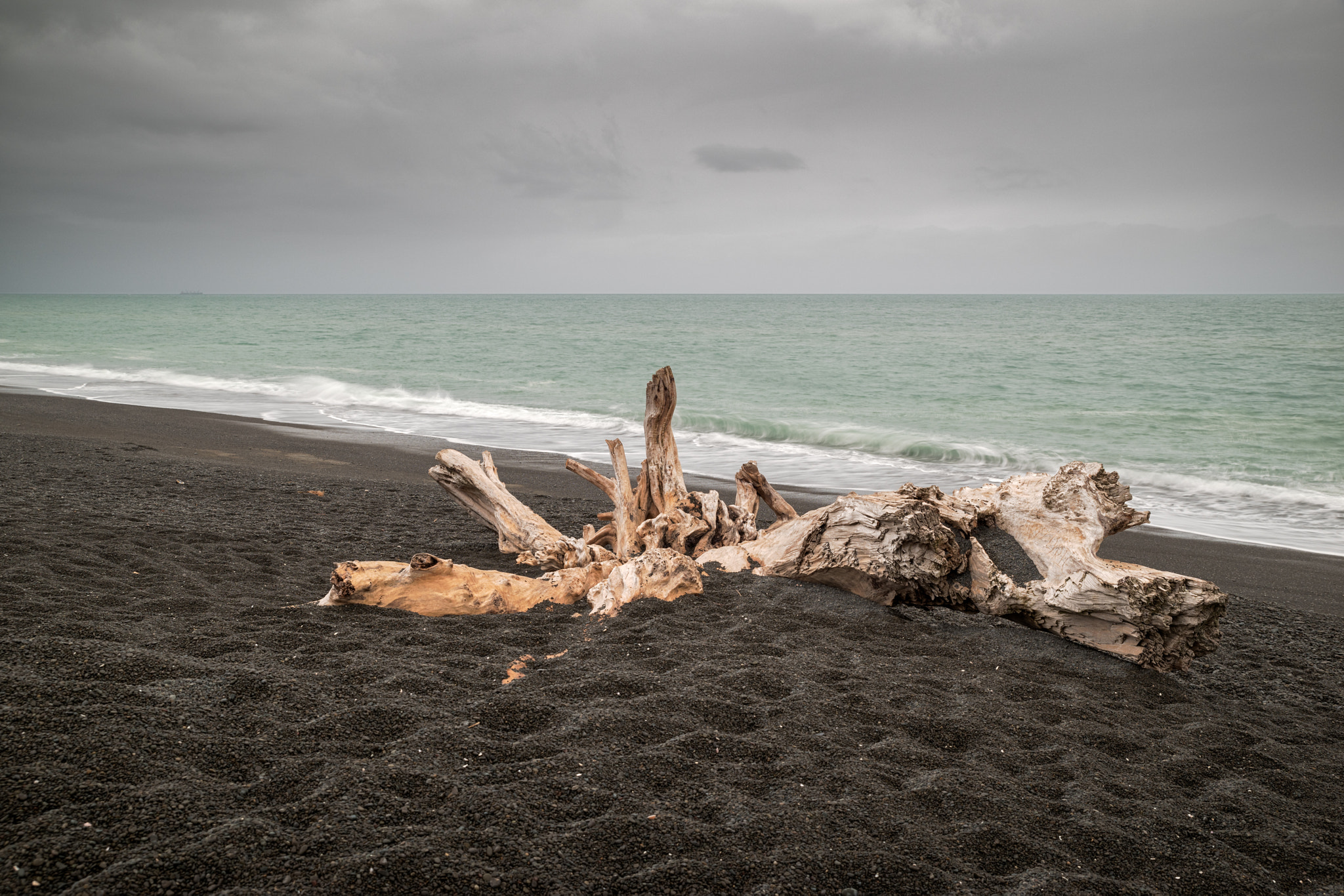 Pentax K-1 sample photo. Driftwood photography