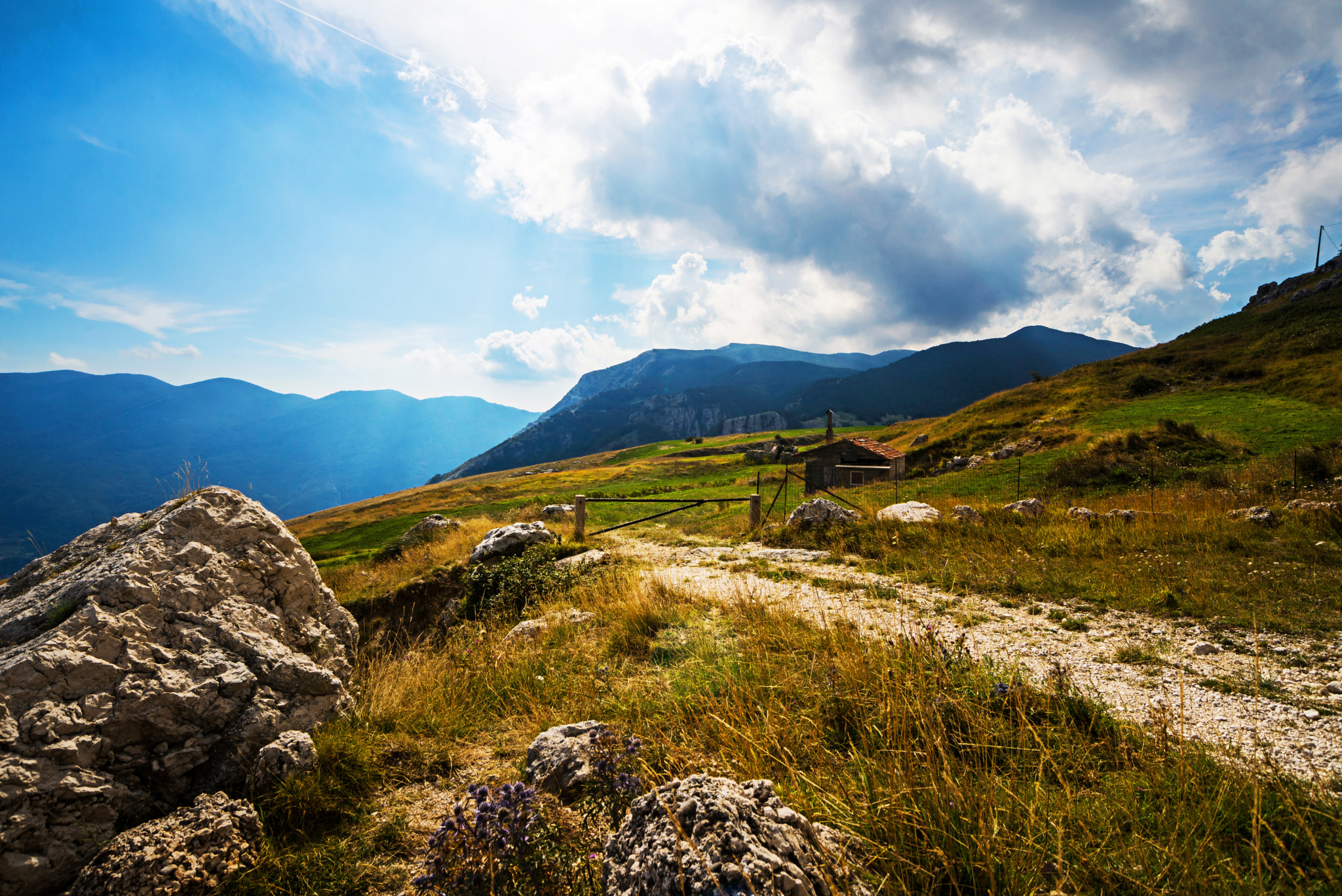 Nikon D600 sample photo. Rocky mountain meadow photography