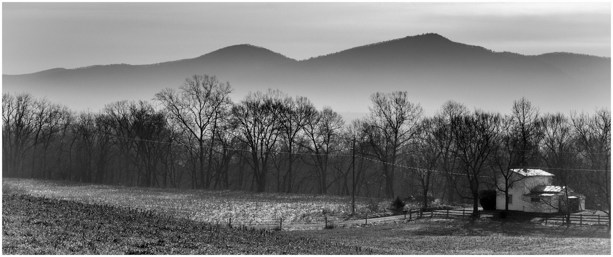 Canon EOS 760D (EOS Rebel T6s / EOS 8000D) sample photo. Country morning mist  photography