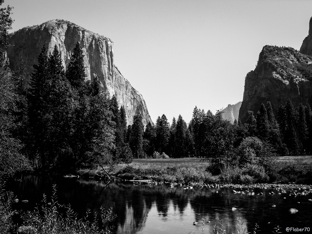 Sony DSC-P93 sample photo. My yosemite photography