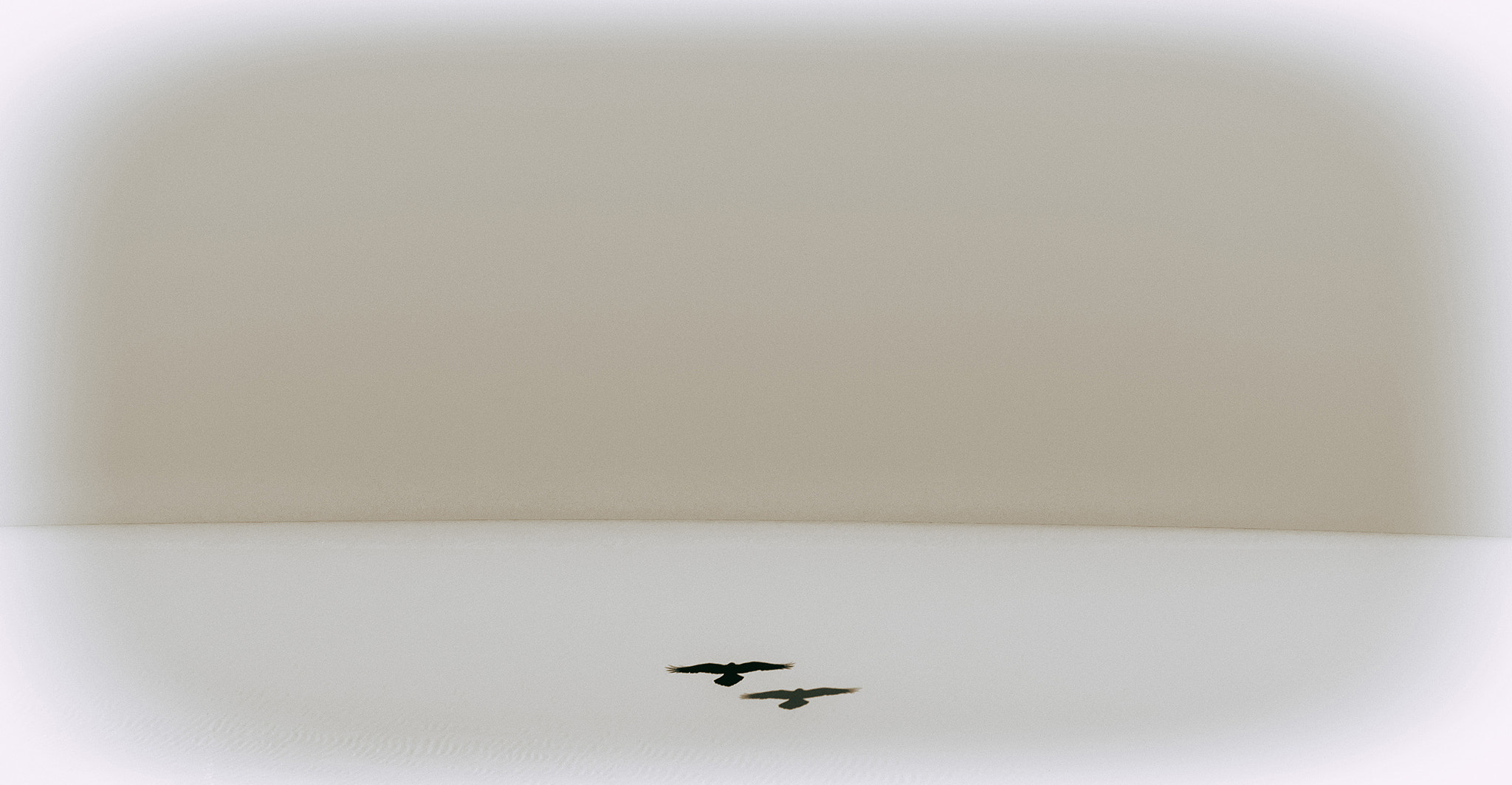 Canon EF-S 55-250mm F4-5.6 IS II sample photo. Hovering photography