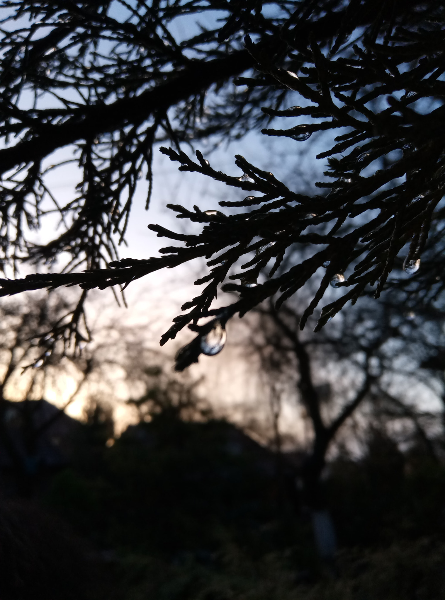 Meizu M3s sample photo