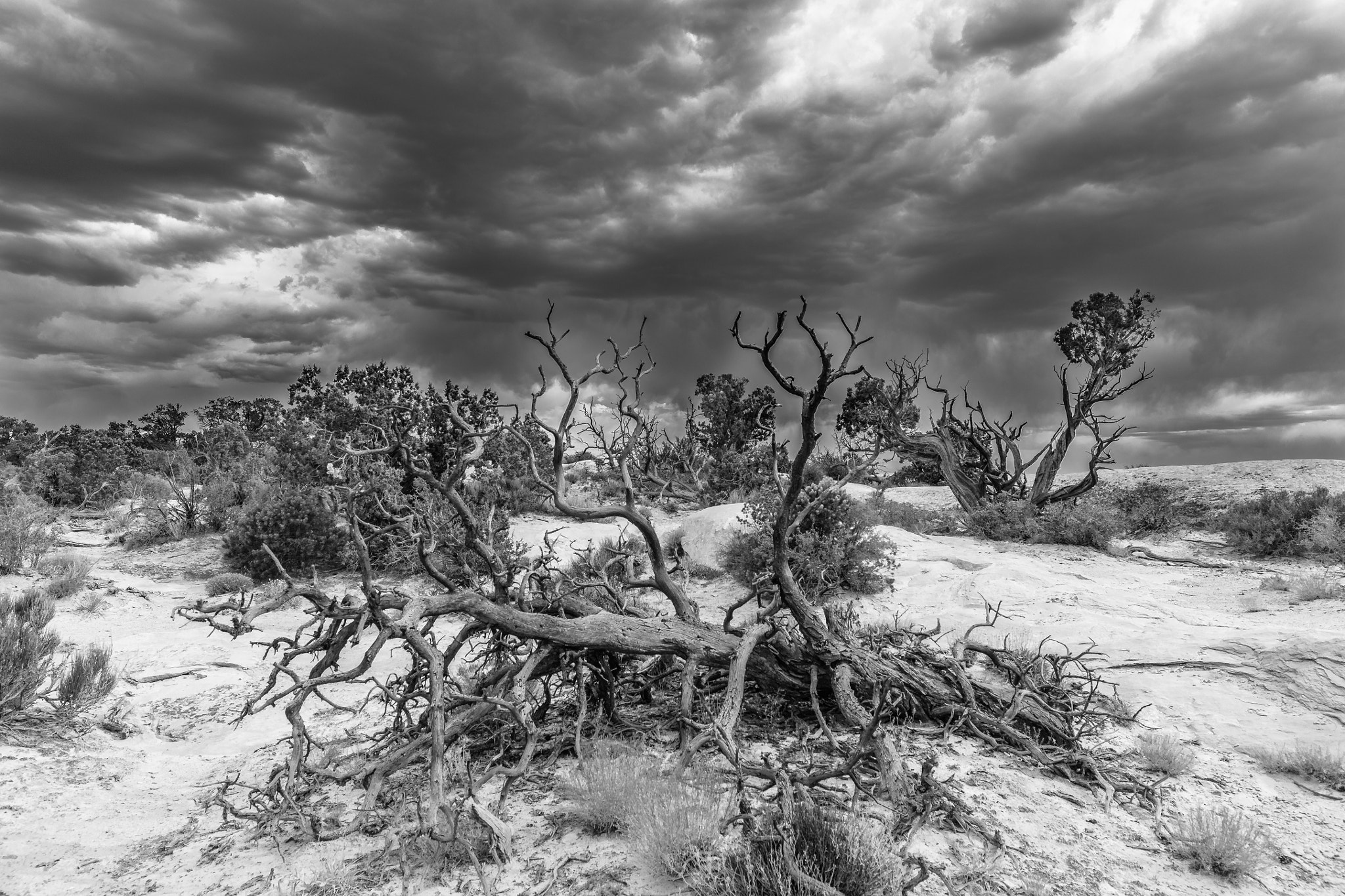 Sigma 24mm F1.4 DG HSM Art sample photo. Stormy photography