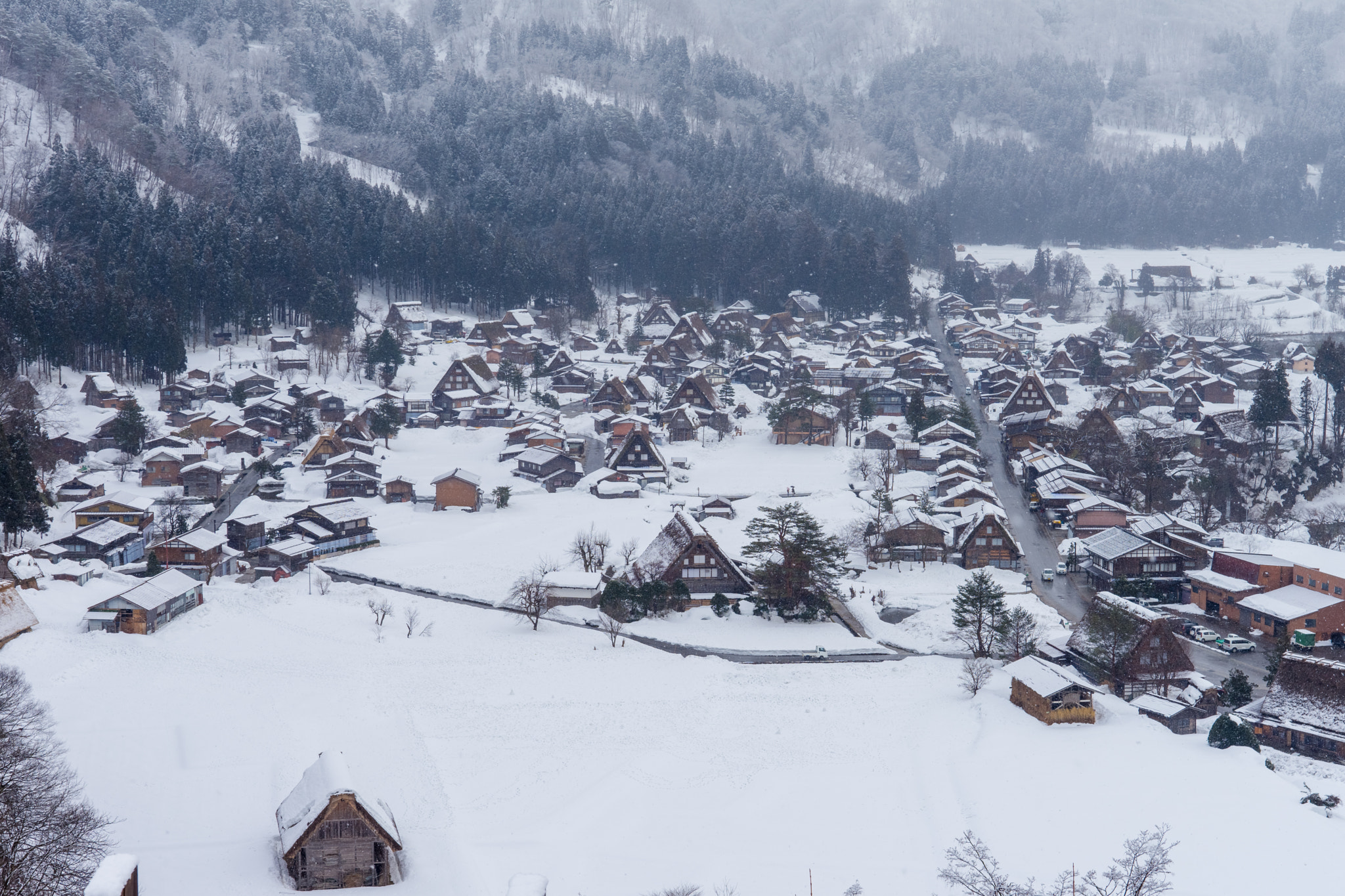 Sony a7 II sample photo. Winter in shirakawa-go village ,gifu japan photography