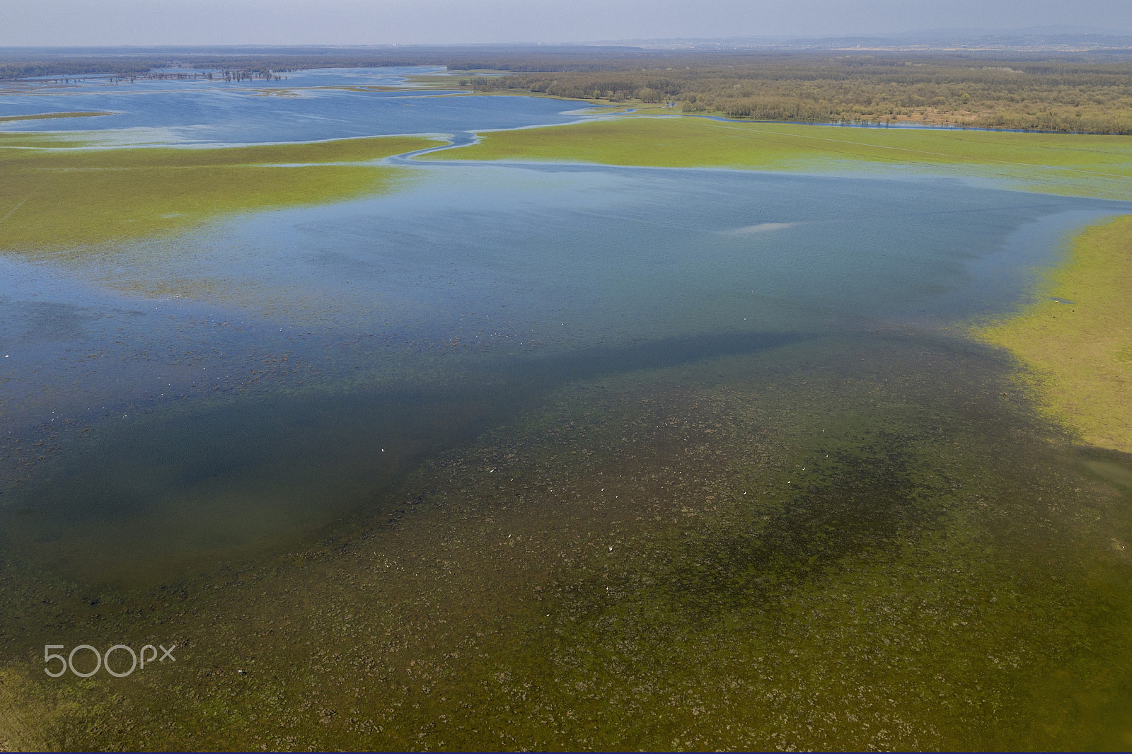 DJI FC550RAW sample photo. Flooded floodplain photography