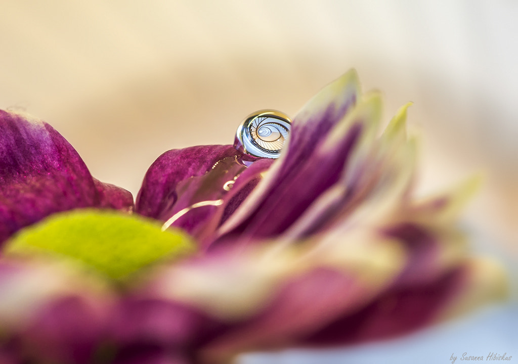 Nikon AF-S Micro-Nikkor 105mm F2.8G IF-ED VR sample photo. Staircase in a drop photography