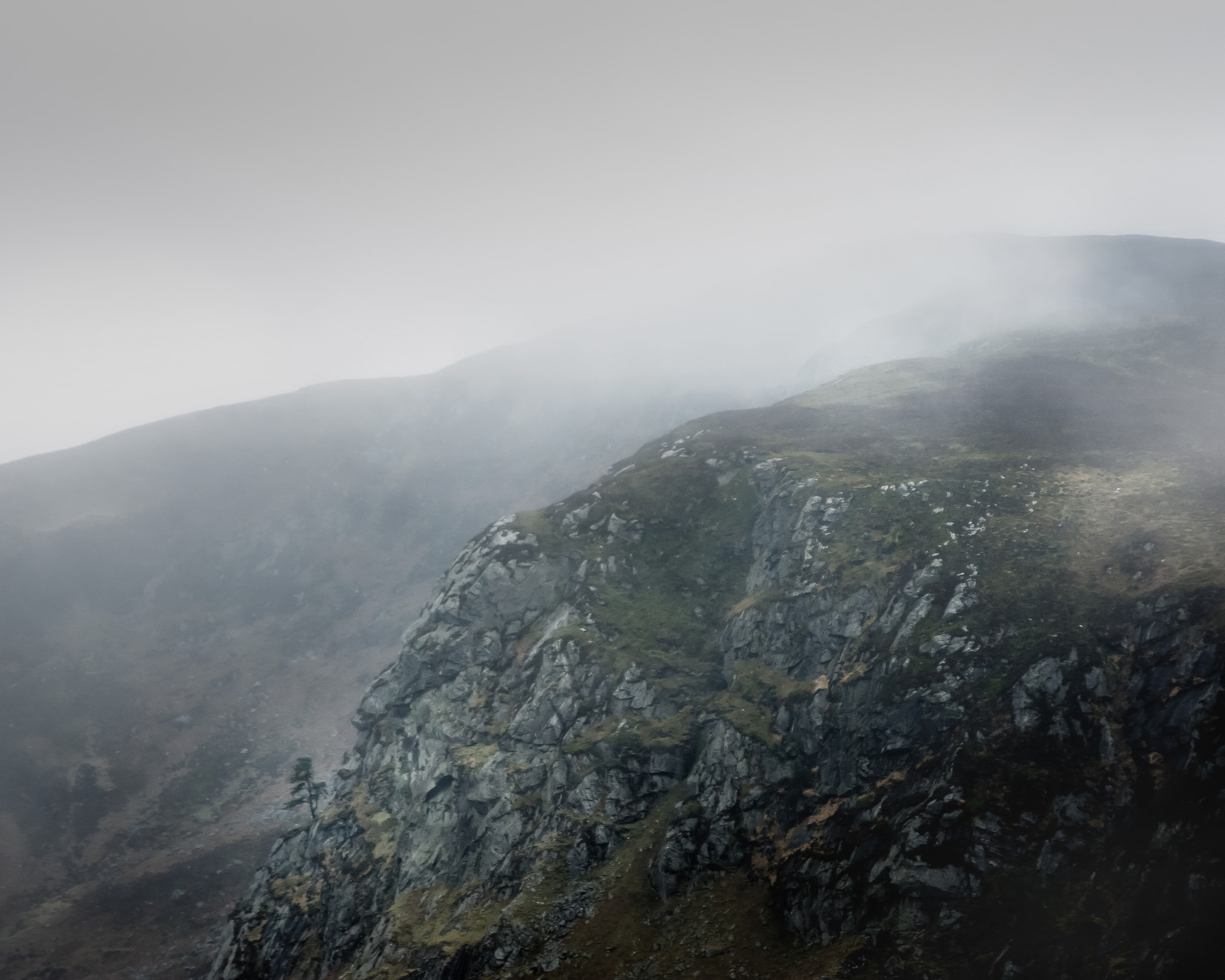 Sigma 24-70mm F2.8 EX DG HSM sample photo. Stand against the elements photography