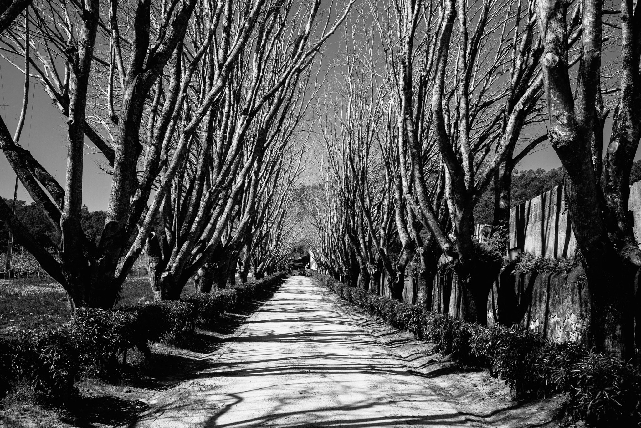 Leica Summilux-M 35mm F1.4 ASPH sample photo. Alley in sintra photography