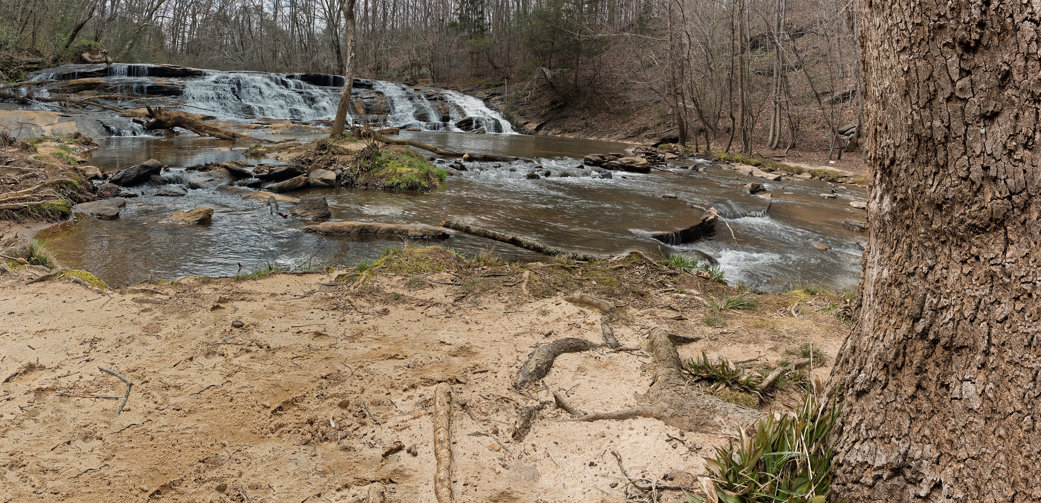 Nikon D810 + Nikon AF-S Nikkor 20mm F1.8G ED sample photo. Shantytownfallsyadkinvillenc-03-17-2017-04 photography