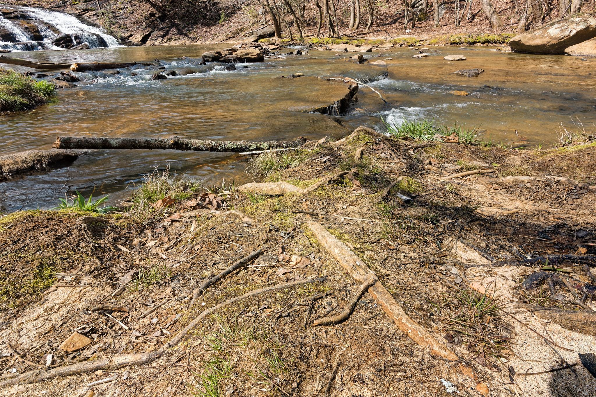 Nikon D810 + Nikon AF-S Nikkor 20mm F1.8G ED sample photo. Shantytownfallsyadkinvillenc-03-17-2017-03 photography