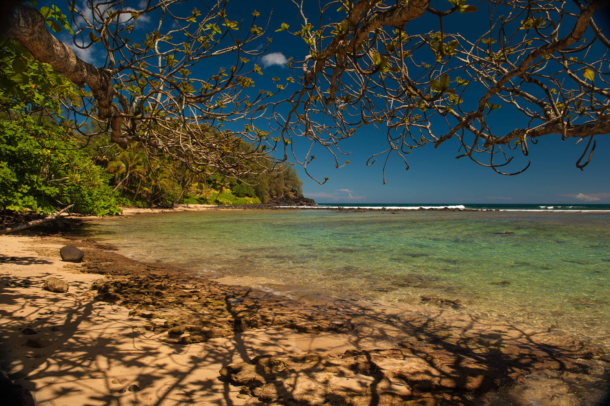 Nikon D3 sample photo. Anini beach kauai photography
