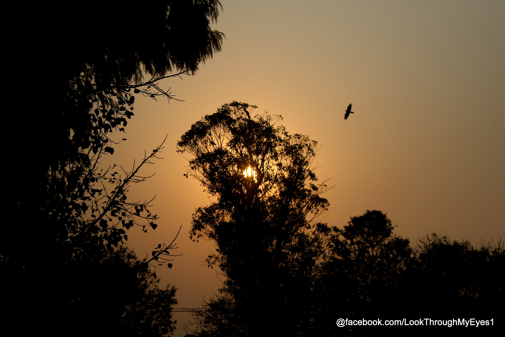 Canon EF-S 18-55mm F3.5-5.6 III sample photo. Sunset photography