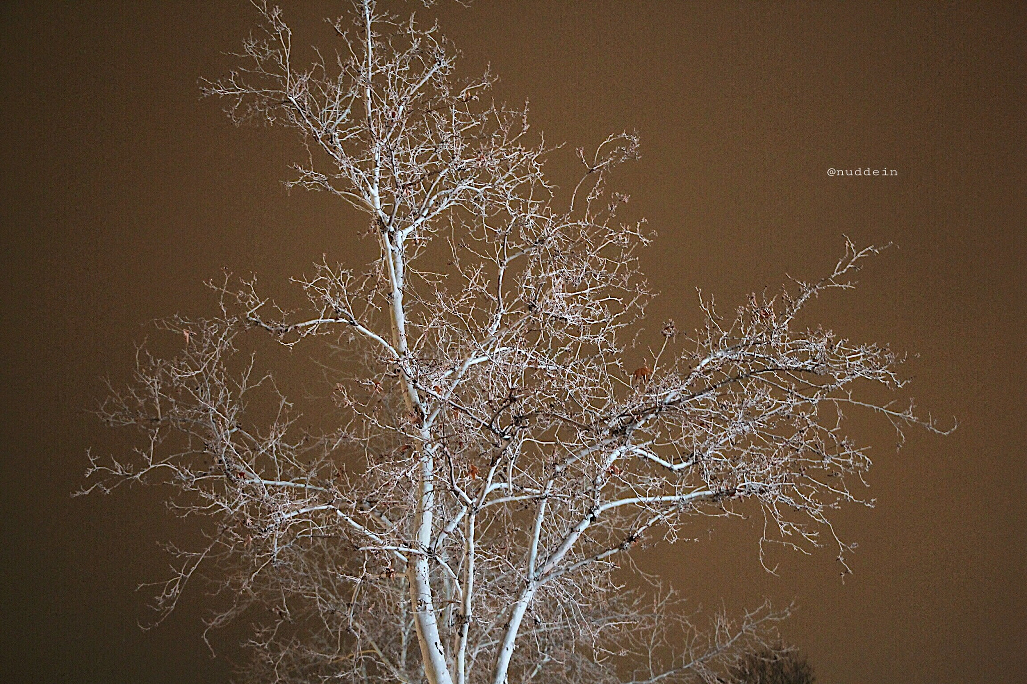 Canon EOS 60D sample photo