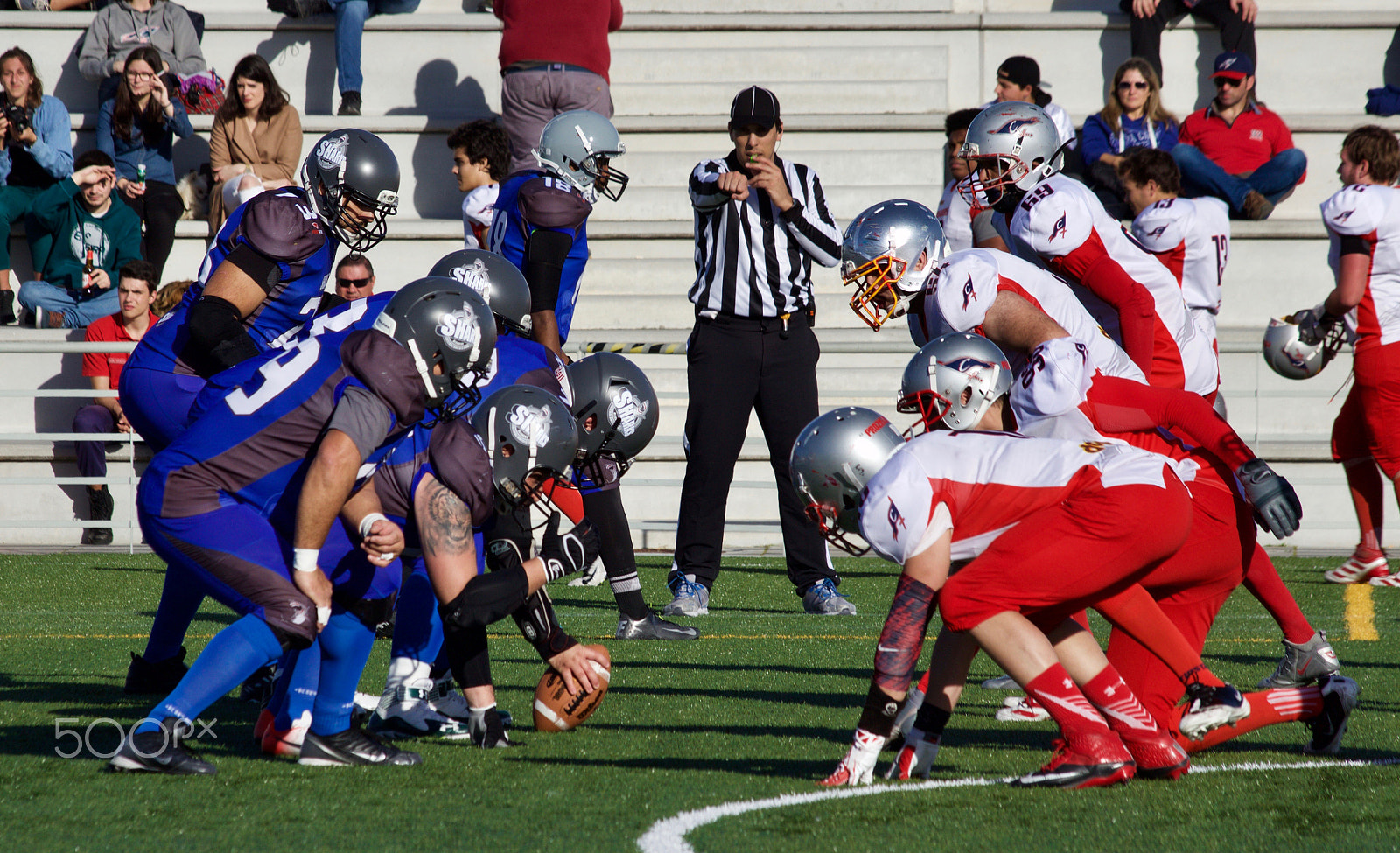 Canon EF 70-300mm F4-5.6 IS USM sample photo. Titans ii photography