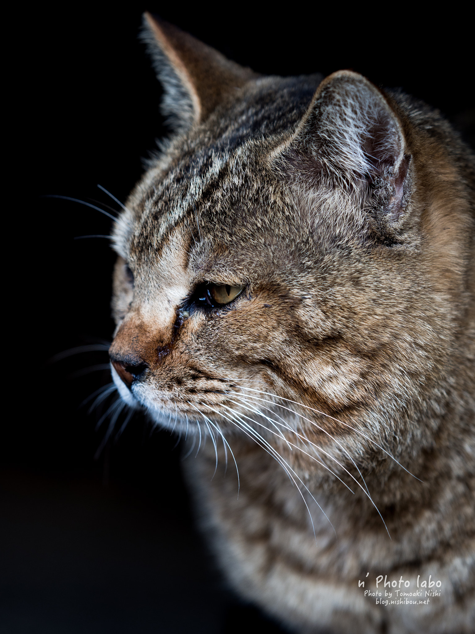 Olympus OM-D E-M1 Mark II + Olympus M.Zuiko Digital ED 40-150mm F2.8 Pro sample photo. その先に photography