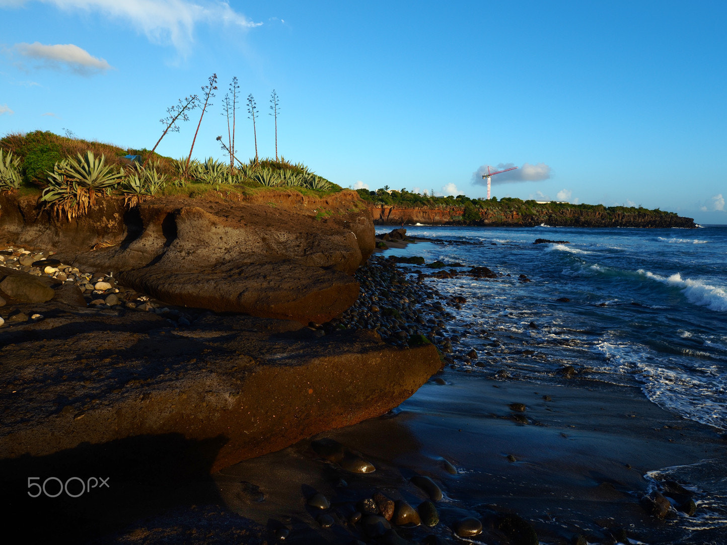 OLYMPUS M.12mm F2.0 sample photo. Çps-c99 photography