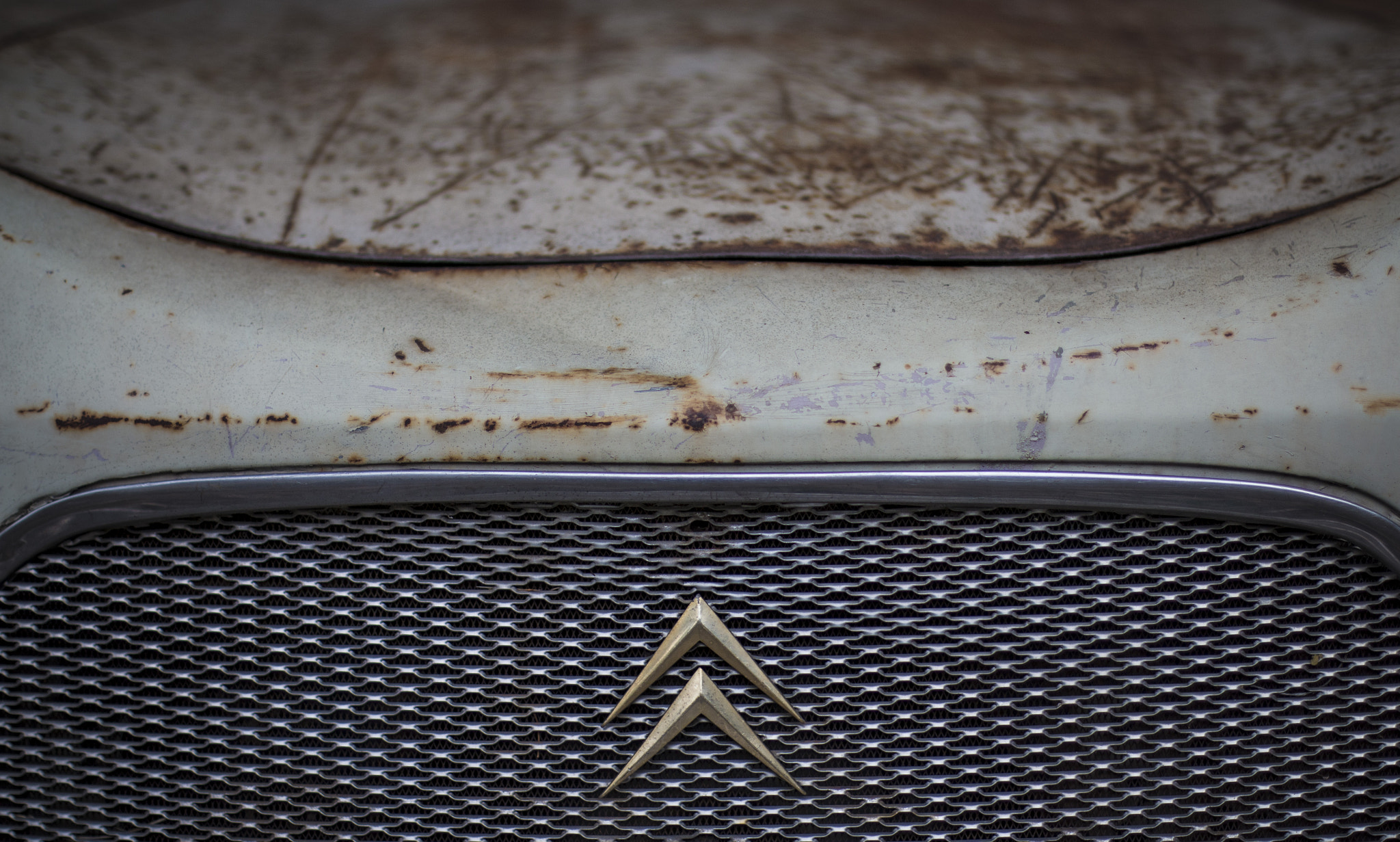 Canon EOS 70D + Canon EF 50mm F1.4 USM sample photo. Img photography