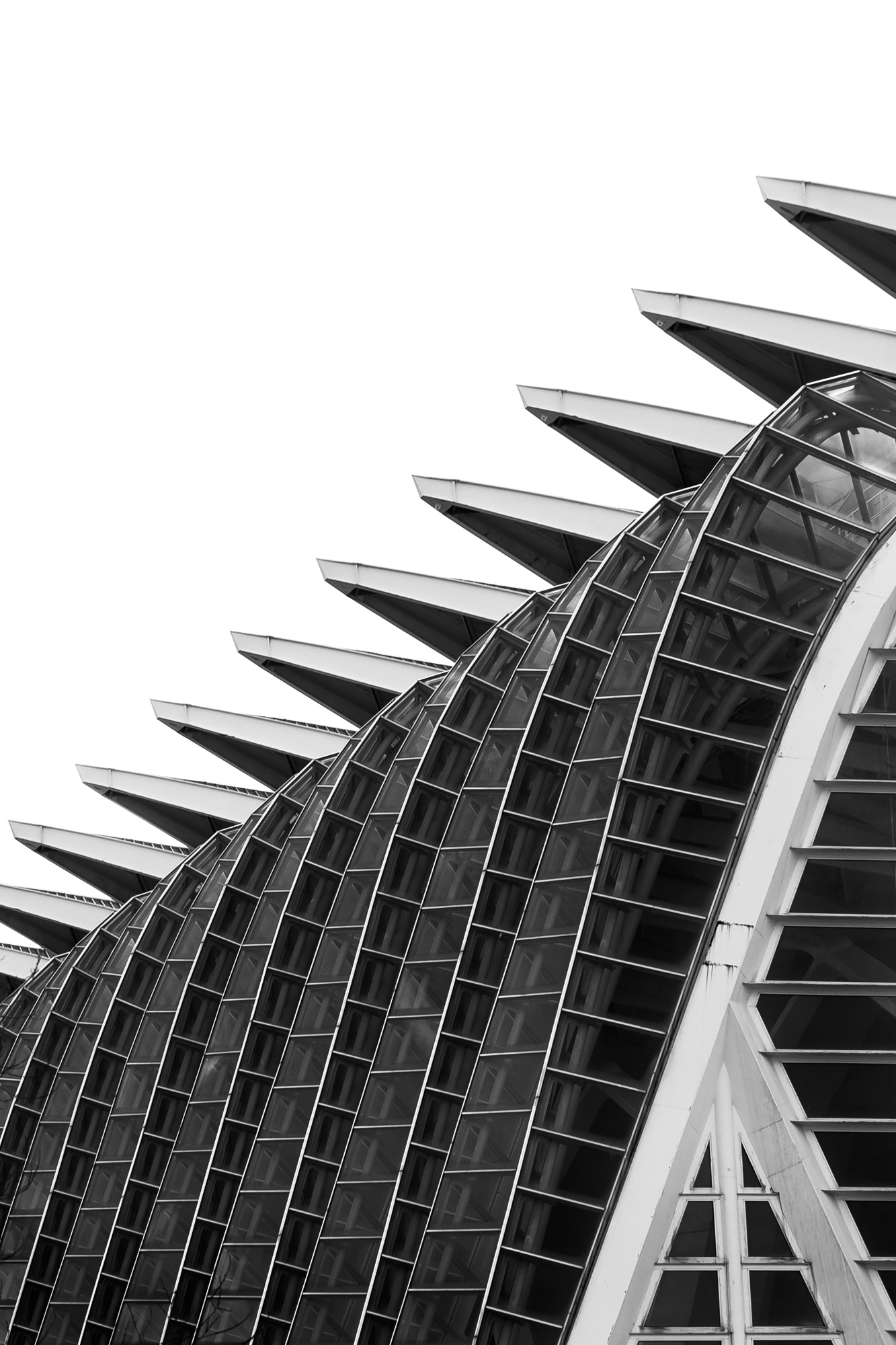 Canon EOS 60D sample photo. Valencia, ciudad de las artes y las ciencias photography