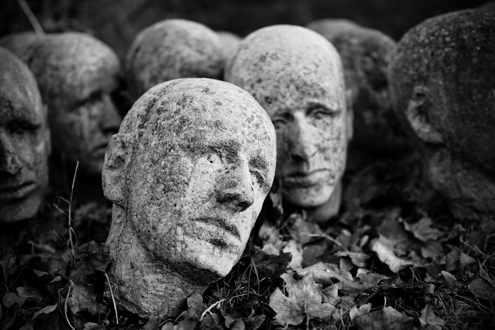 Sigma 30mm F1.4 DC DN | C sample photo. Heads photography