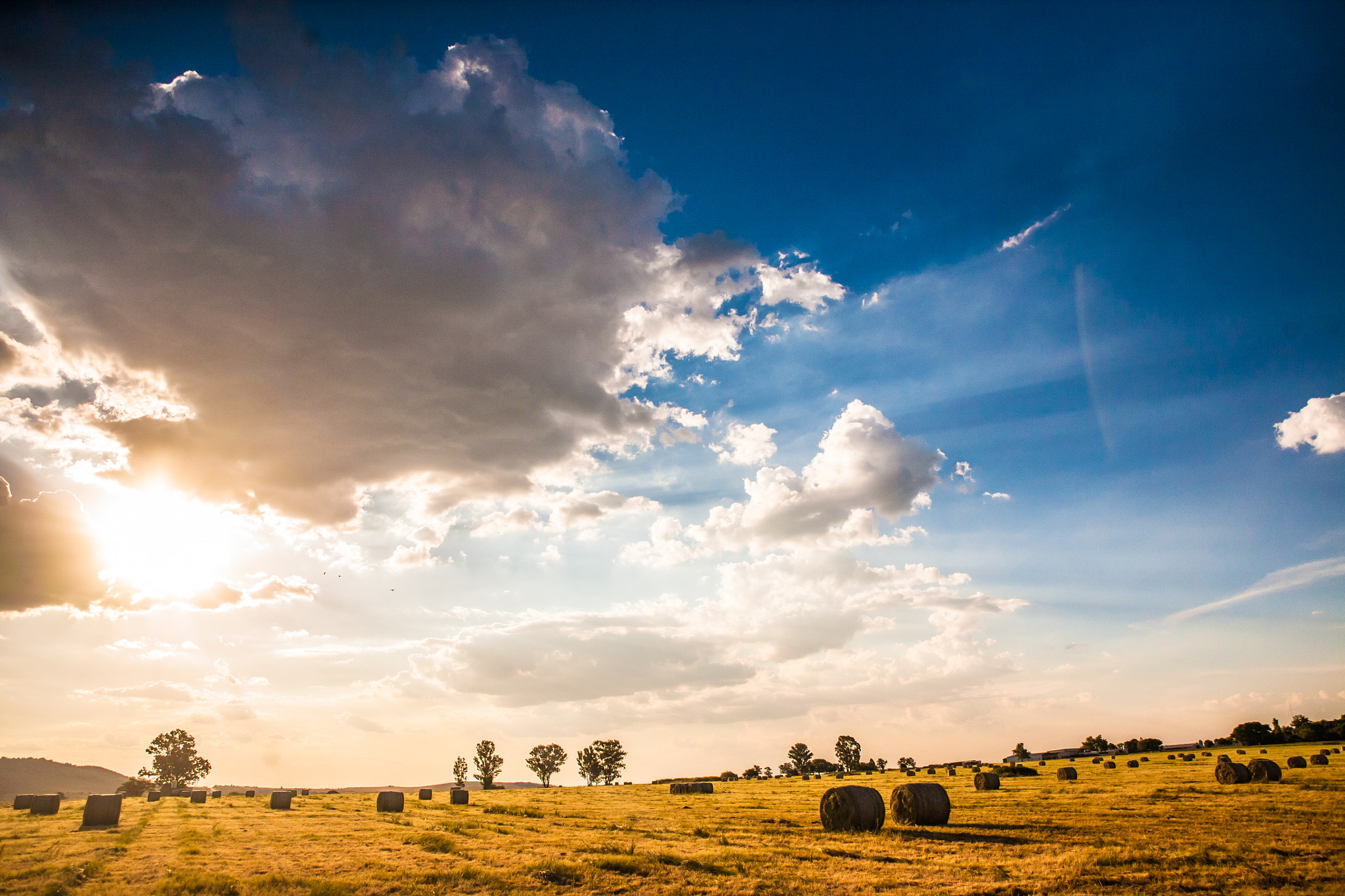 Canon 24.0-70.0 mm sample photo. On the farm photography