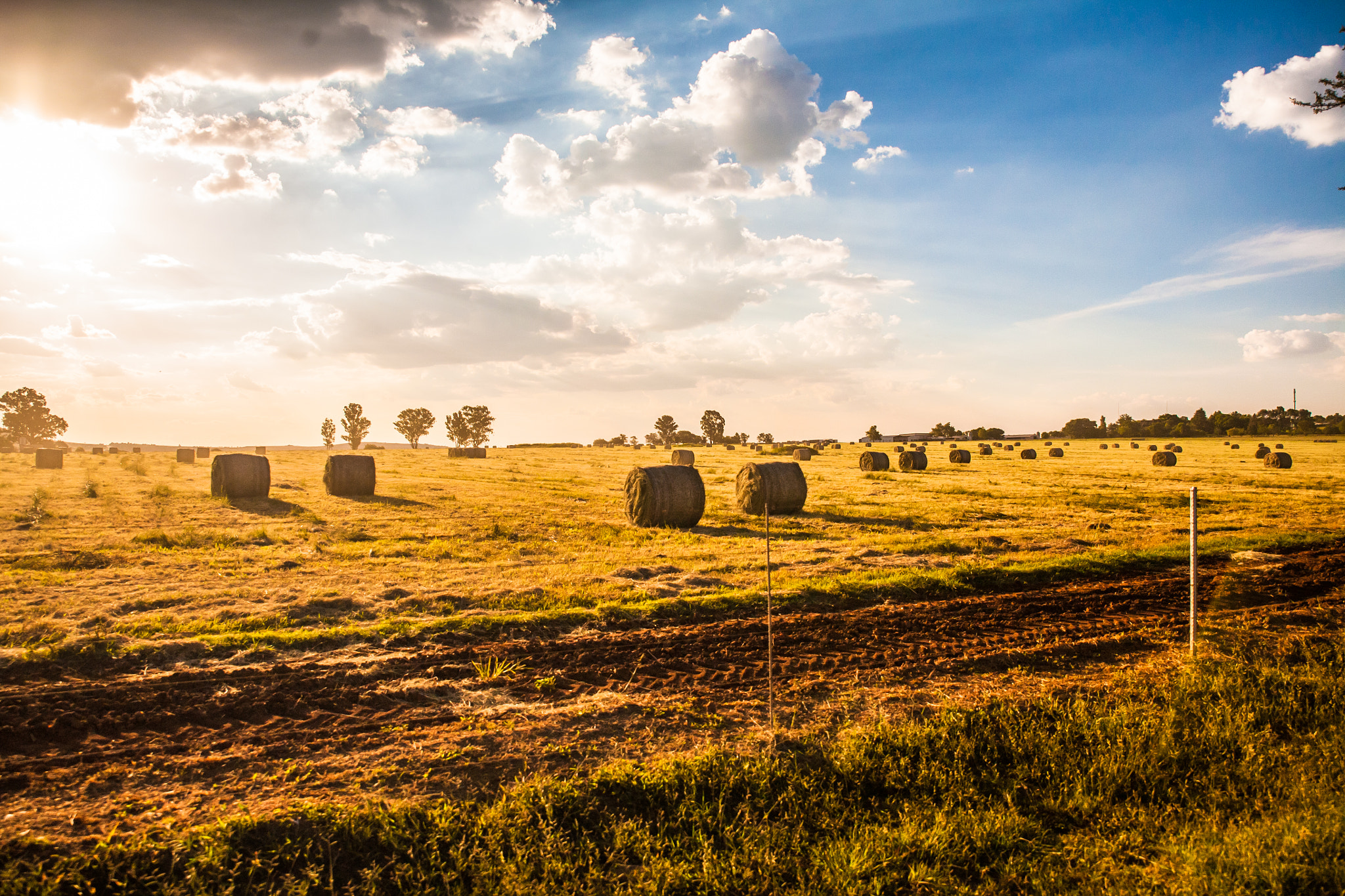 Canon EOS 5D + Canon 24.0-70.0 mm sample photo. On the farm photography