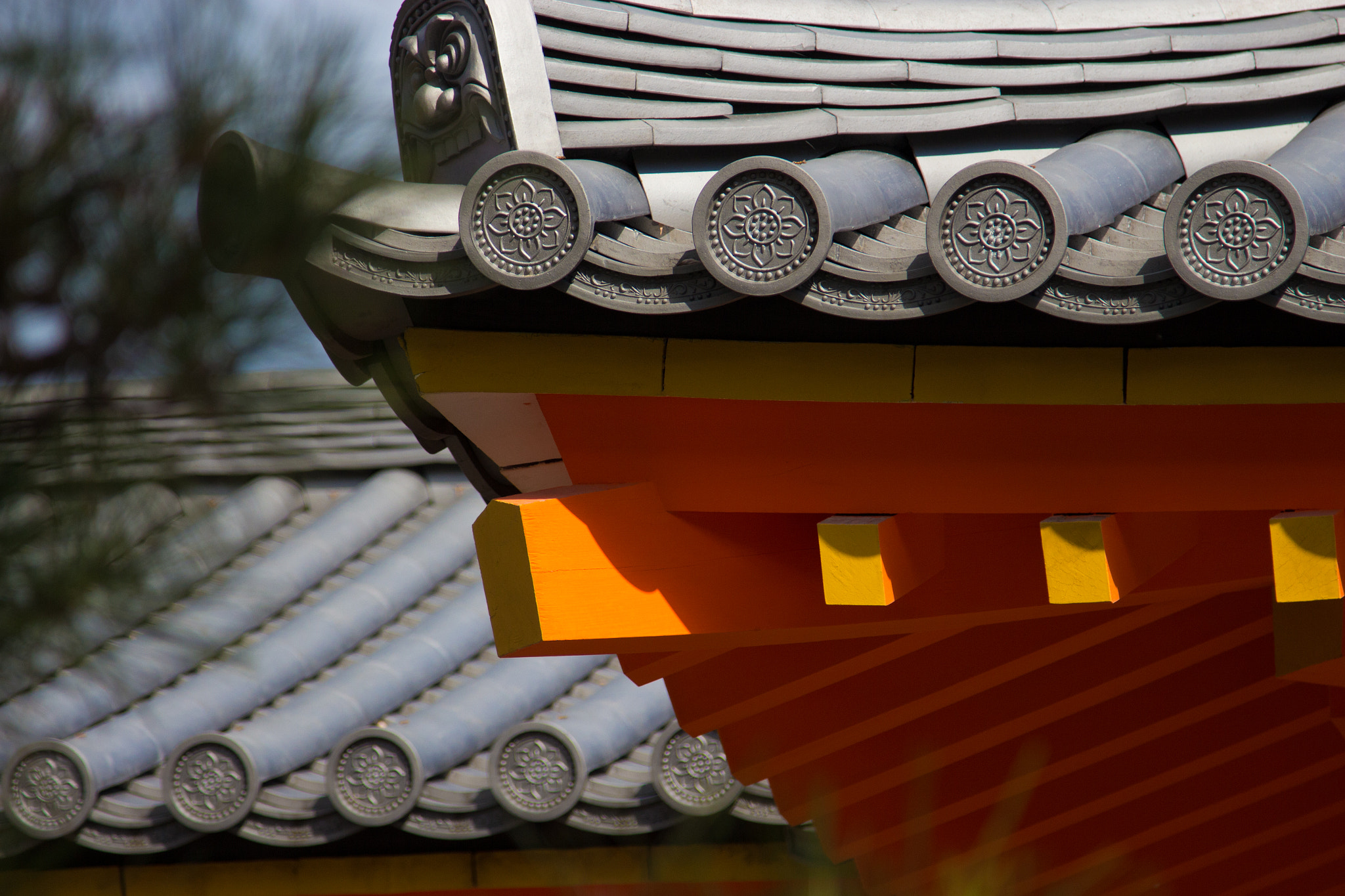 Canon EOS 700D (EOS Rebel T5i / EOS Kiss X7i) sample photo. Zooming-in photography
