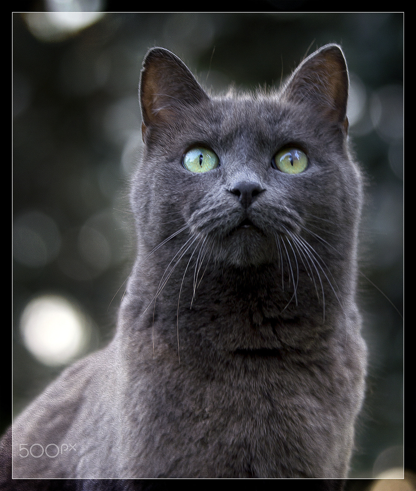 Canon EOS 60D sample photo. La piccola smoky. photography