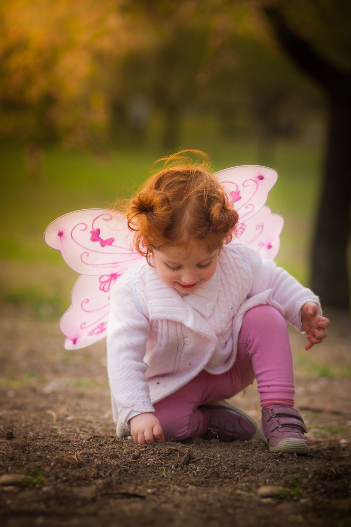 Canon EOS 7D + Canon EF 85mm F1.8 USM sample photo. Fairy land photography