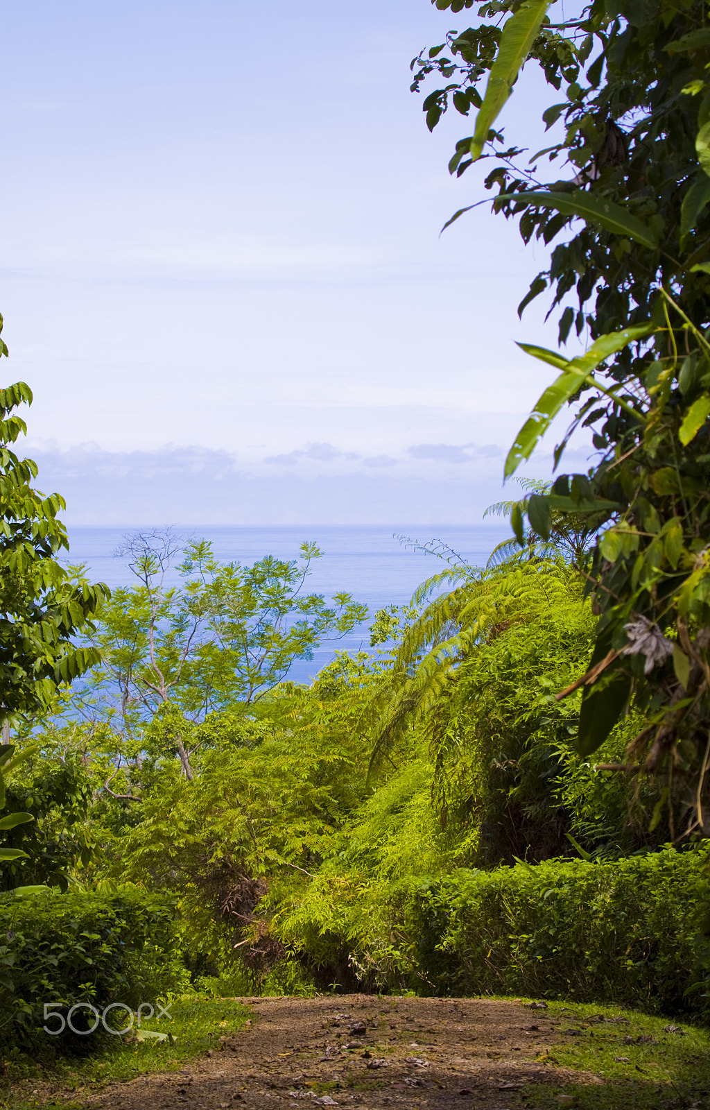 Canon EF 100-400mm F4.5-5.6L IS USM sample photo. Road to tranquility photography