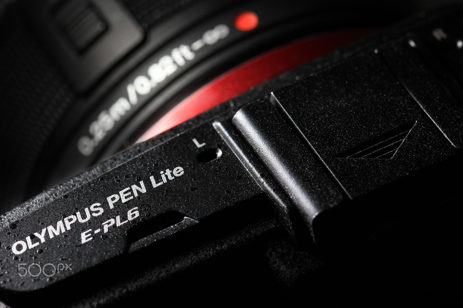 Sigma 105mm F2.8 EX DG OS HSM sample photo. Pen photography