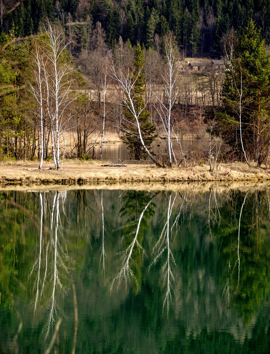 Sigma 18-250mm F3.5-6.3 DC Macro OS HSM sample photo. Reflektion photography