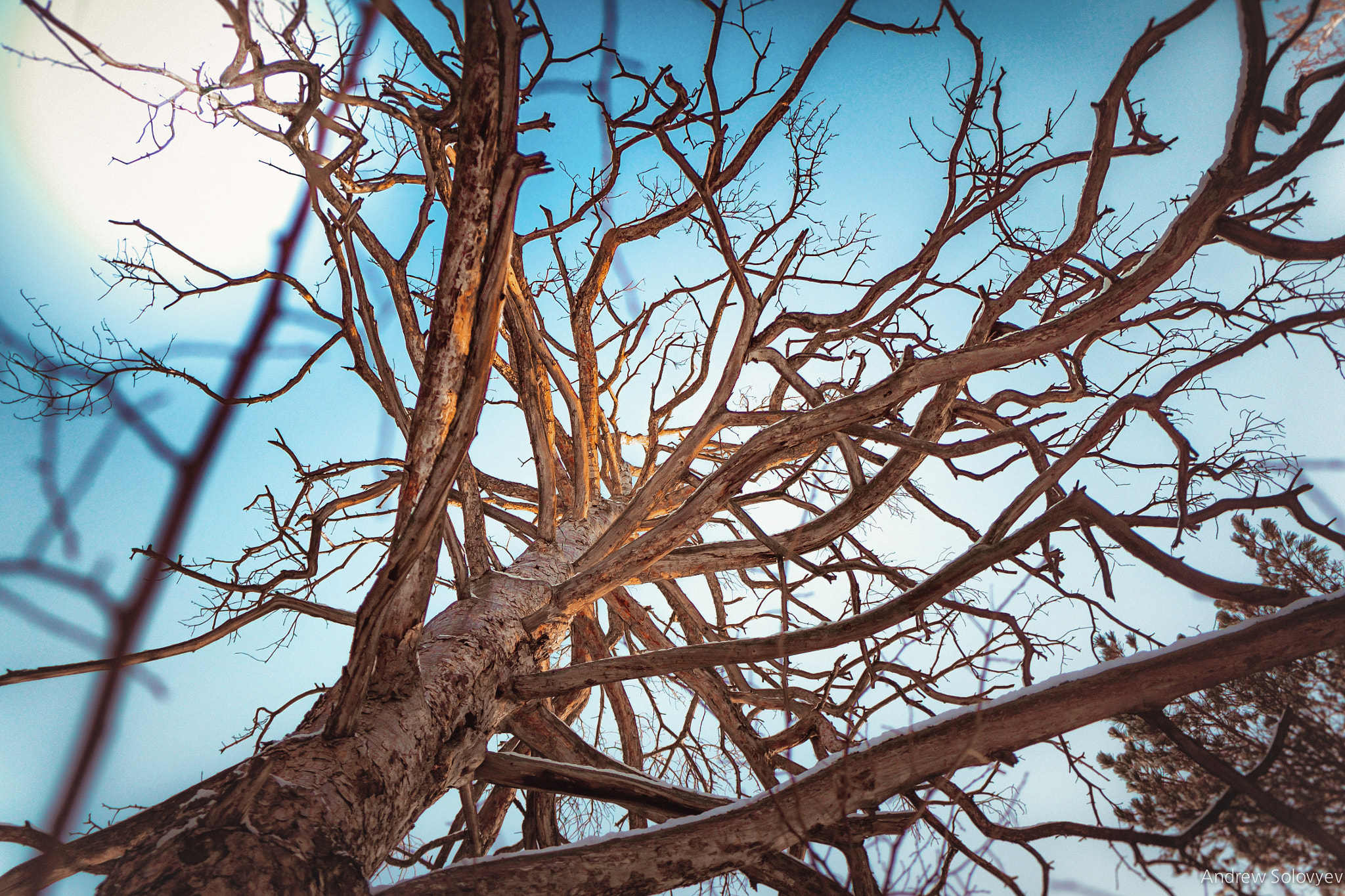 Fujifilm X-E1 + Fujifilm XF 18-55mm F2.8-4 R LM OIS sample photo. Edit photography