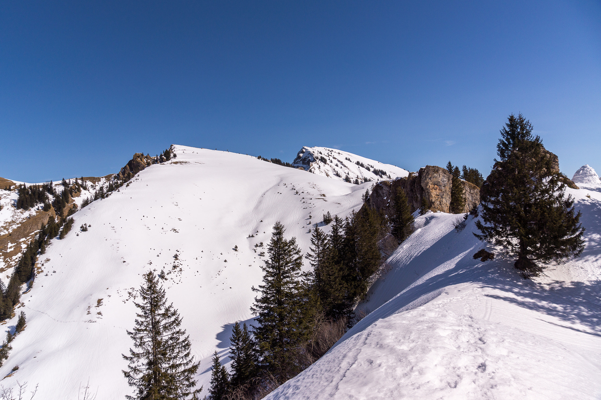 Sony SLT-A77 sample photo. Winterstaude photography
