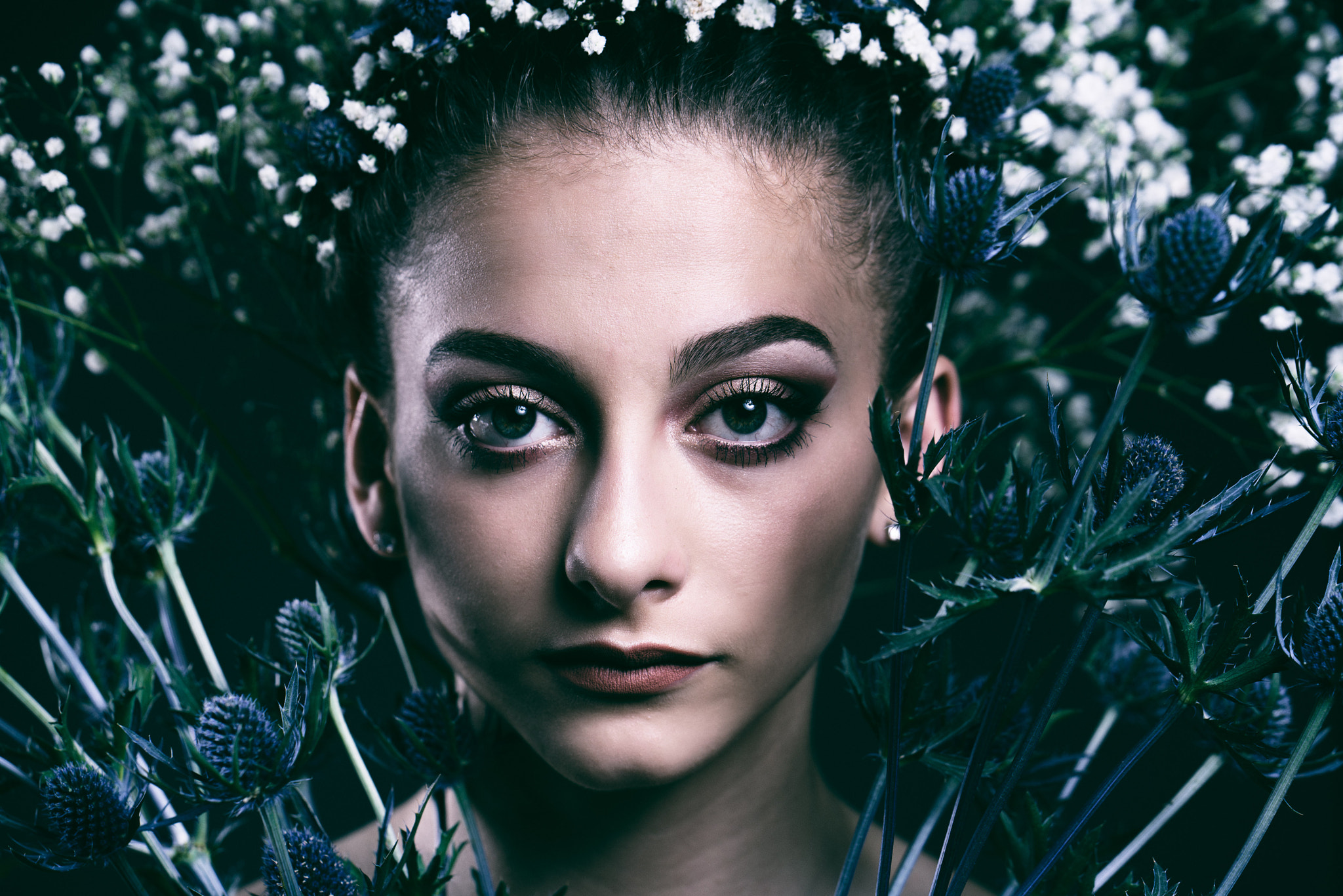 ZEISS Batis 85mm F1.8 sample photo. Moody flowers photography