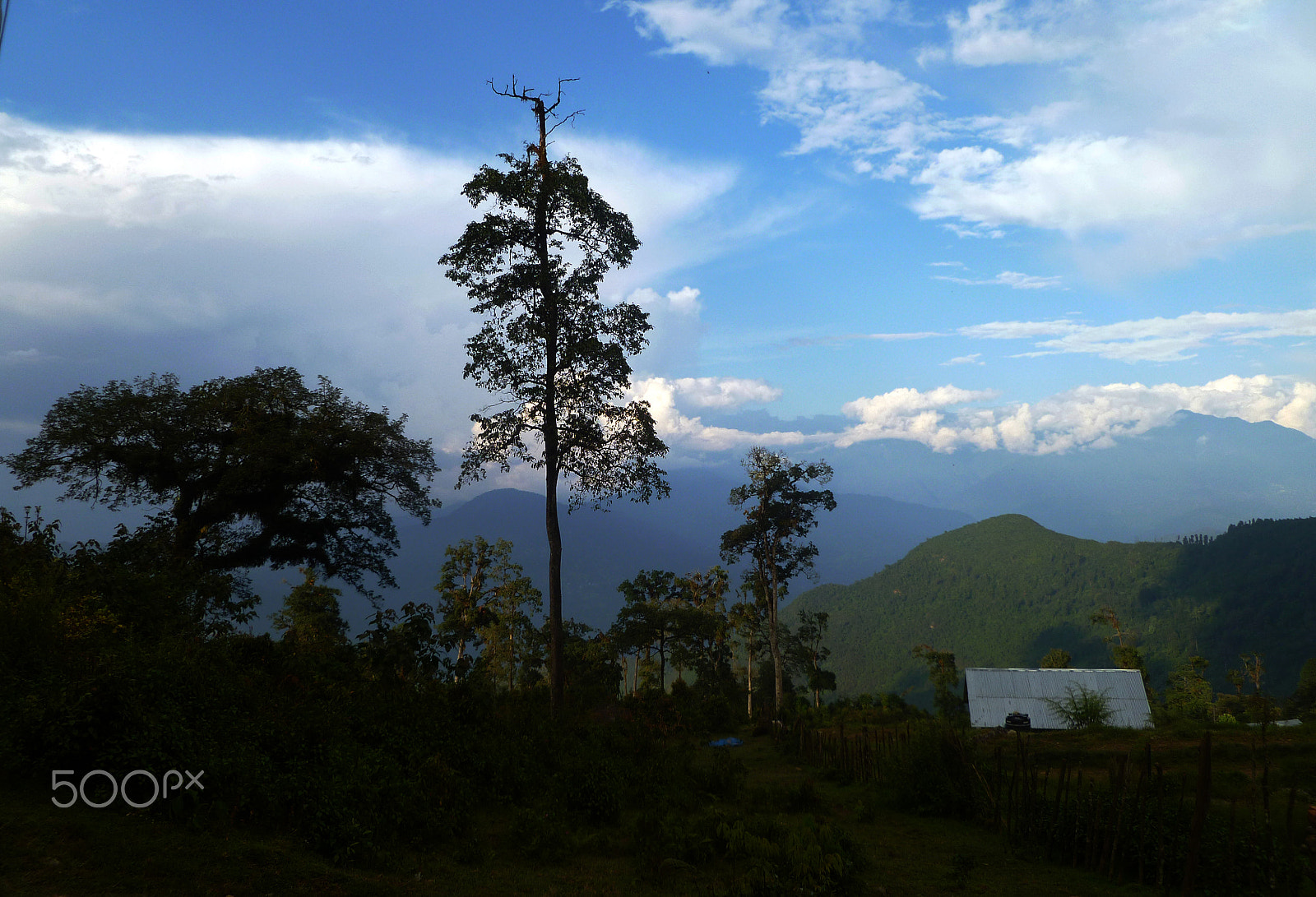 Panasonic DMC-FH20 sample photo. Landscape of sillery gaon, west bengal, india photography