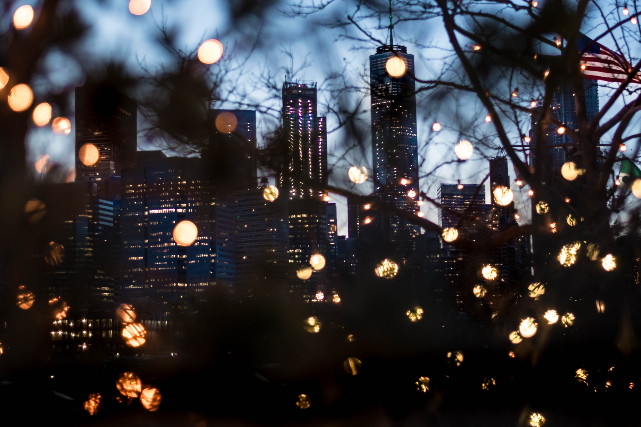 Nikon D5600 + Nikon AF-S Nikkor 50mm F1.8G sample photo. Lower manhattan bokeh photography