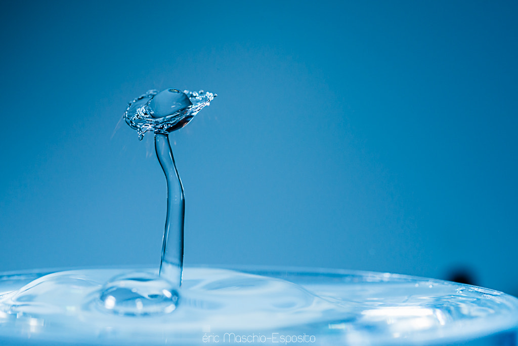 Nikon AF Micro-Nikkor 60mm F2.8D sample photo. Session goutte / waterdrop session photography