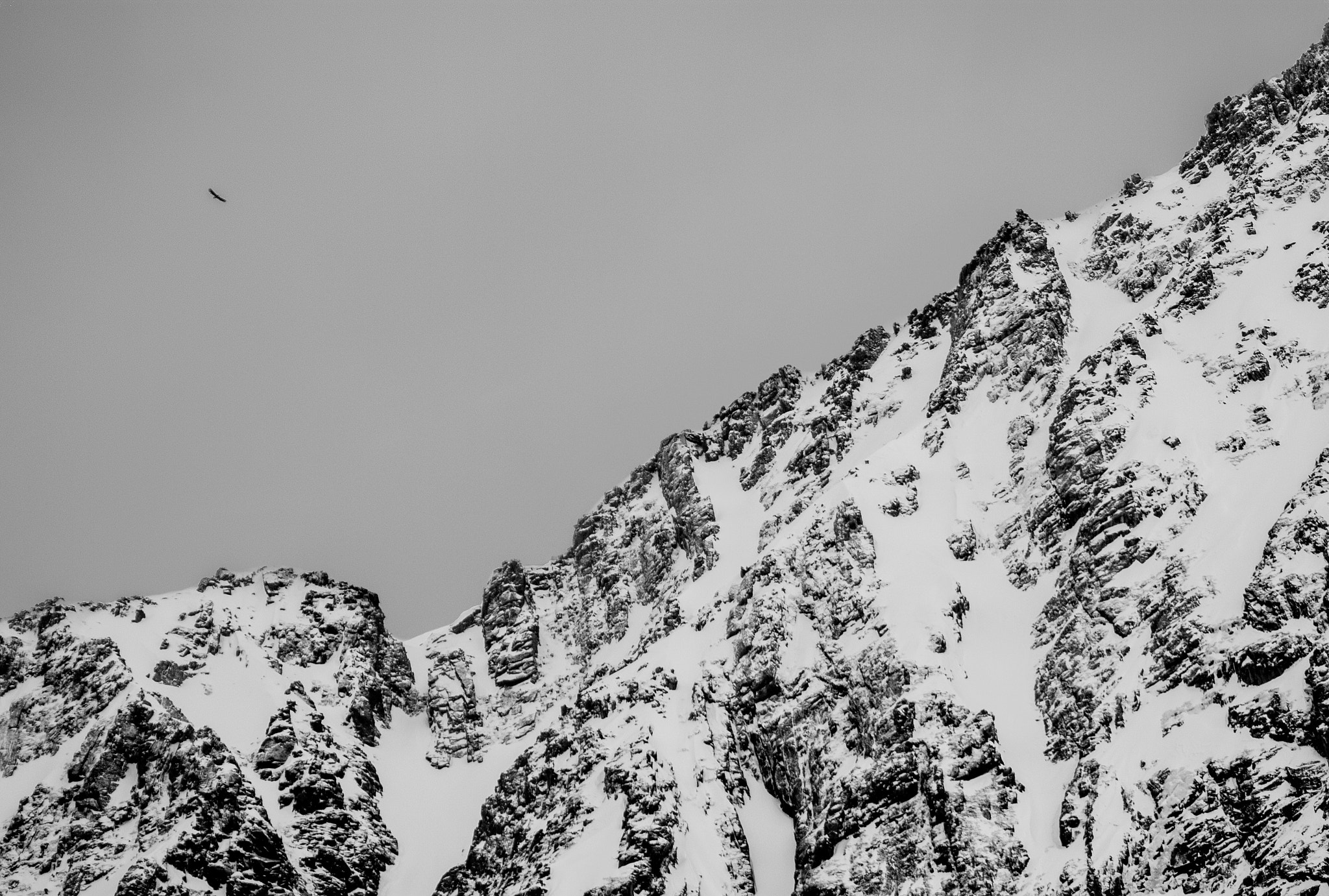 Canon EOS 600D (Rebel EOS T3i / EOS Kiss X5) + EF75-300mm f/4-5.6 sample photo. Norwegian eagle photography